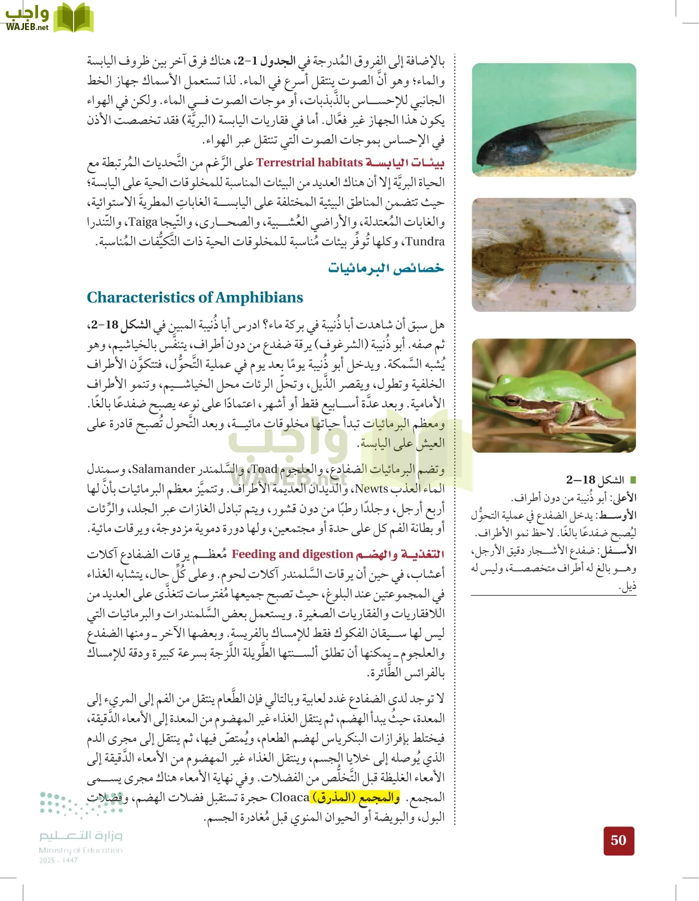 الأحياء 1-2 الفصل الأول page-49