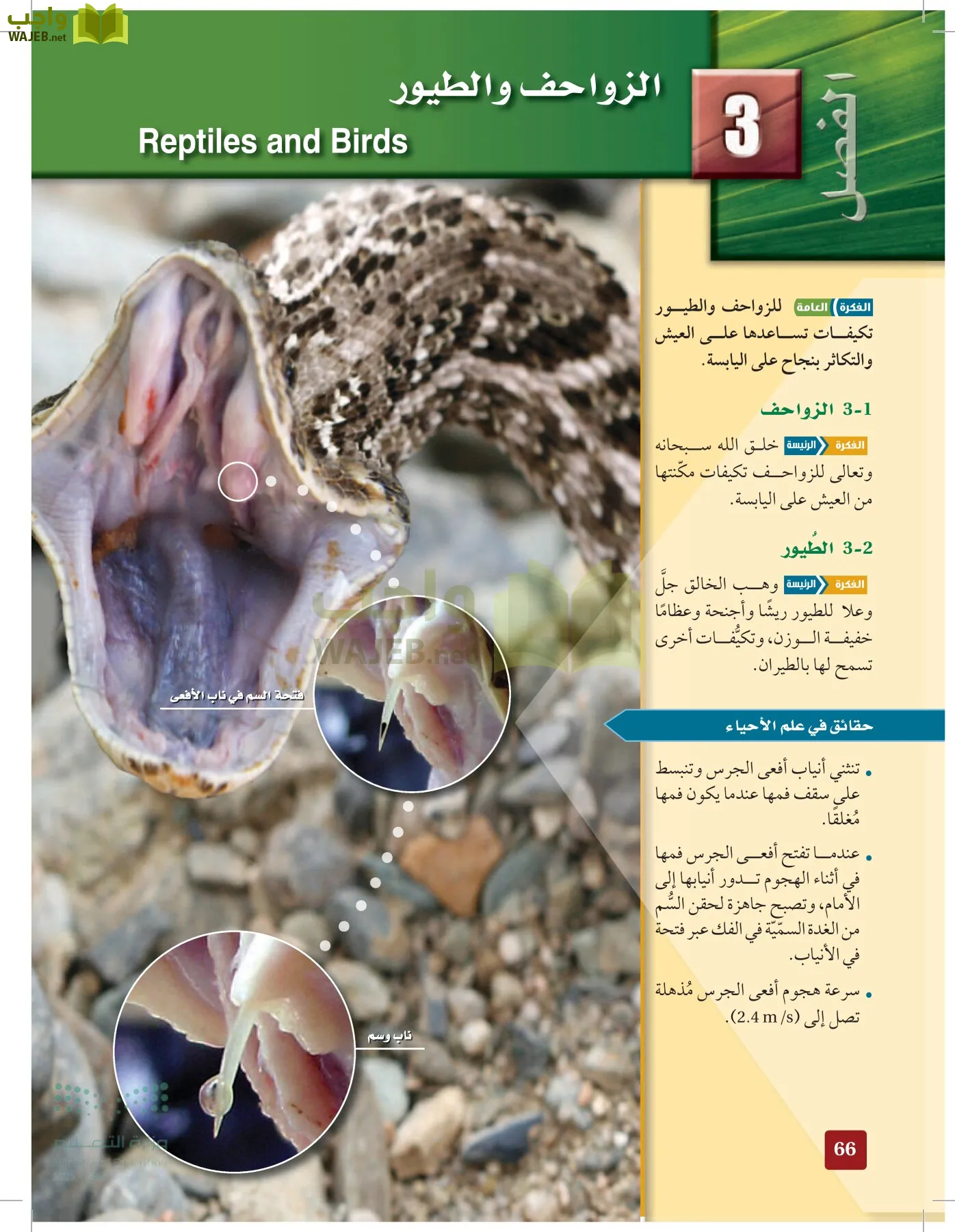 الأحياء 1-2 الفصل الأول page-65