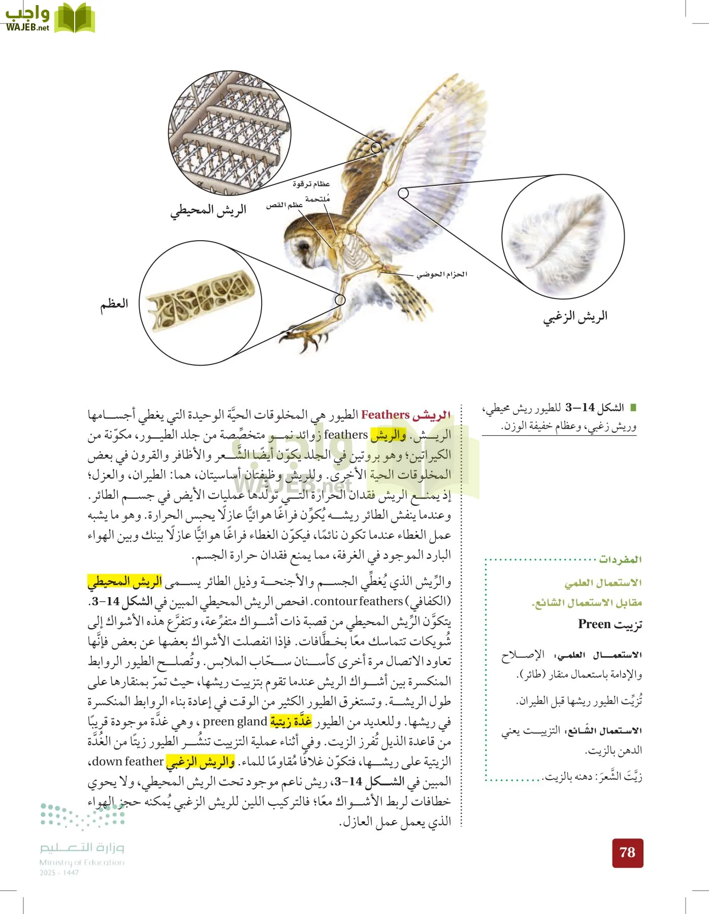الأحياء 1-2 الفصل الأول page-77