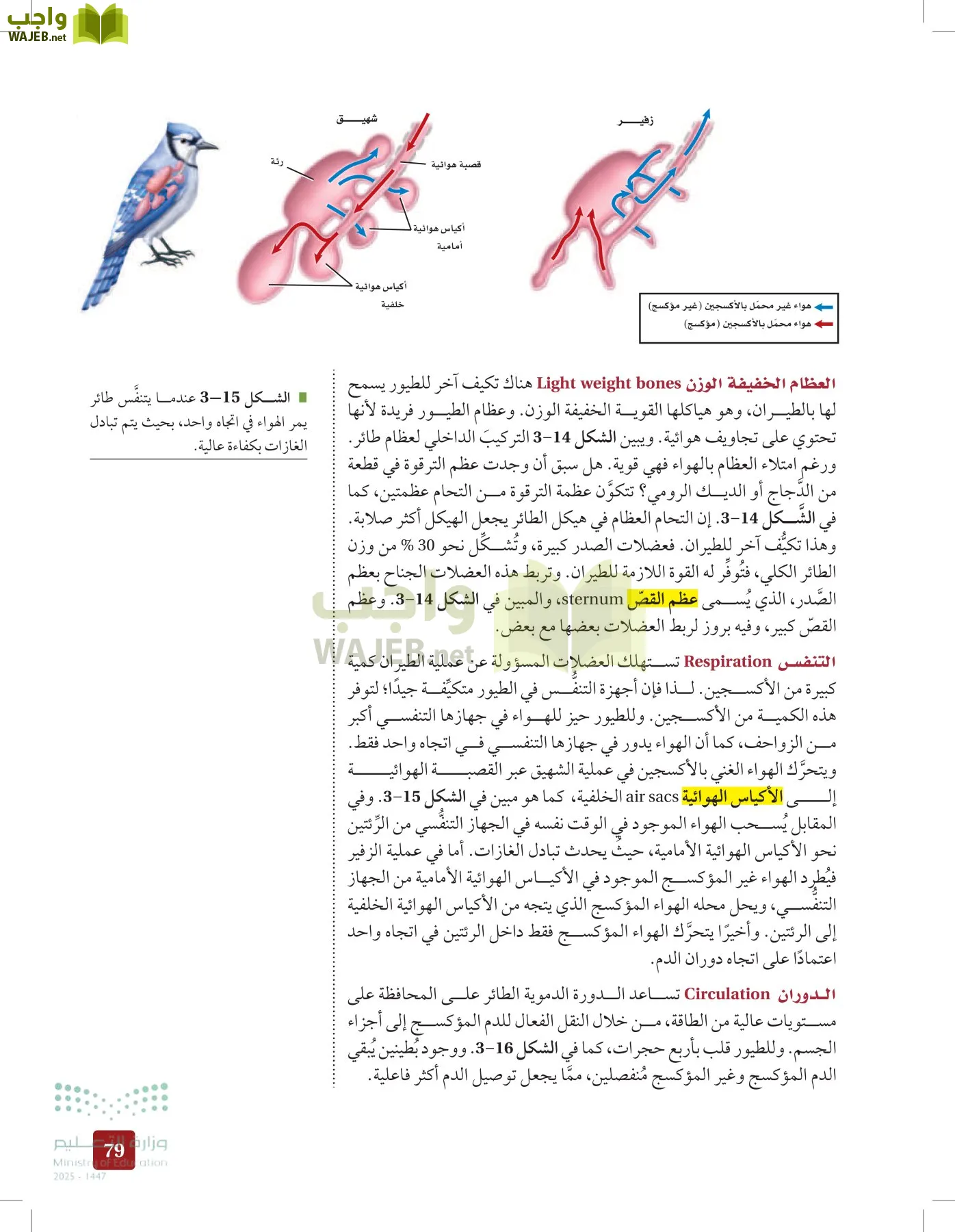 الأحياء 1-2 الفصل الأول page-78