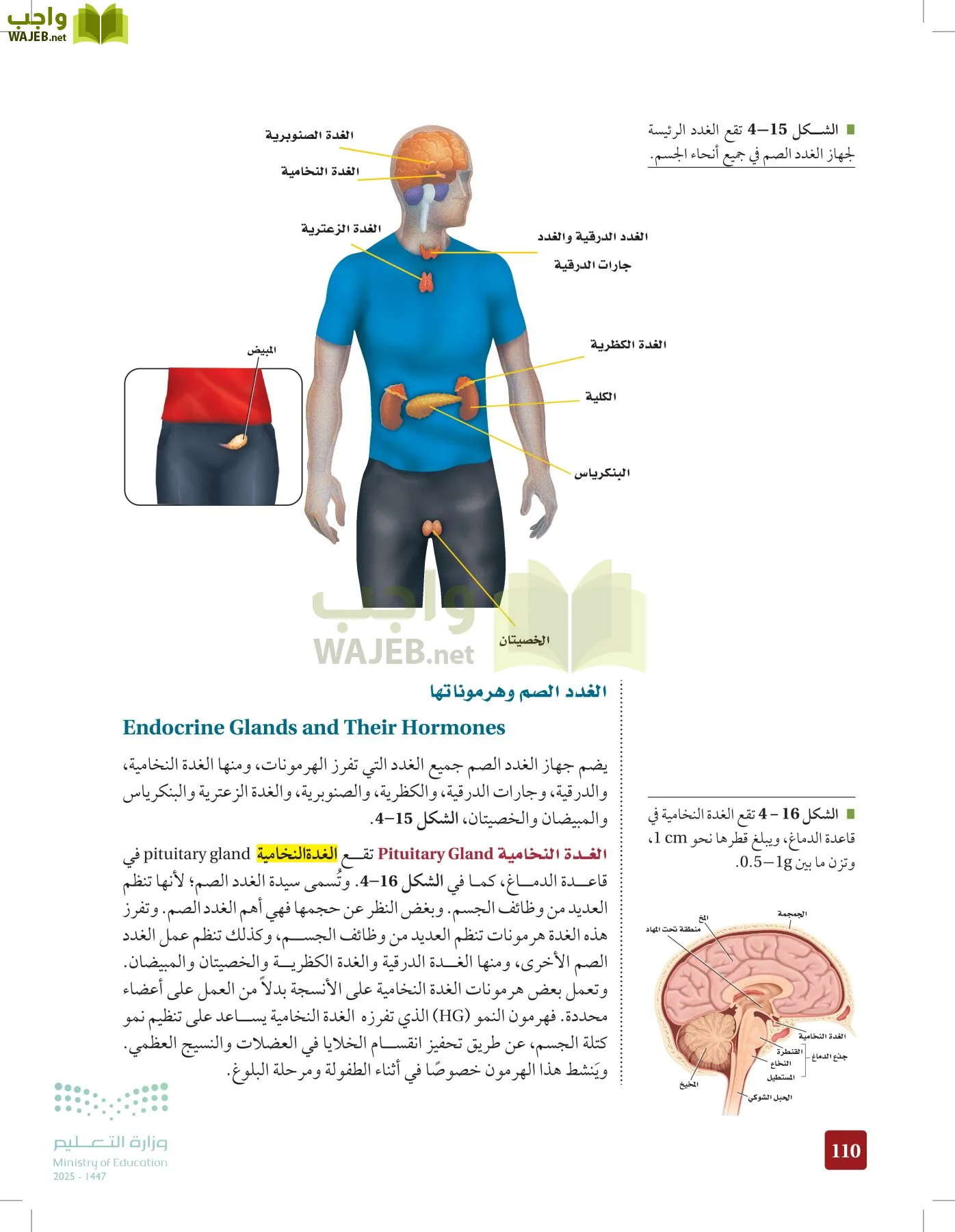 الأحياء 2-2  الفصل الثاني page-109