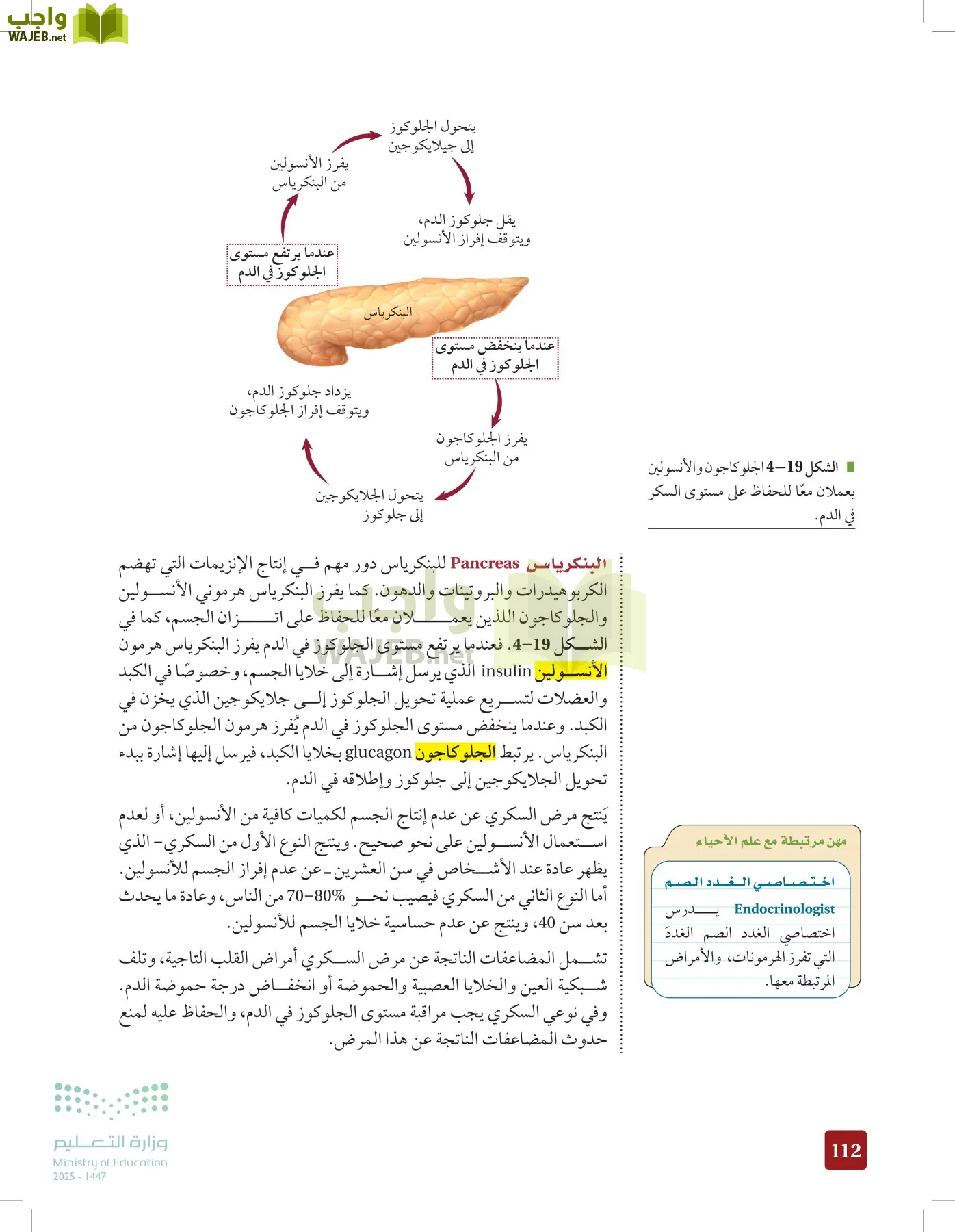 الأحياء 2-2  الفصل الثاني page-111