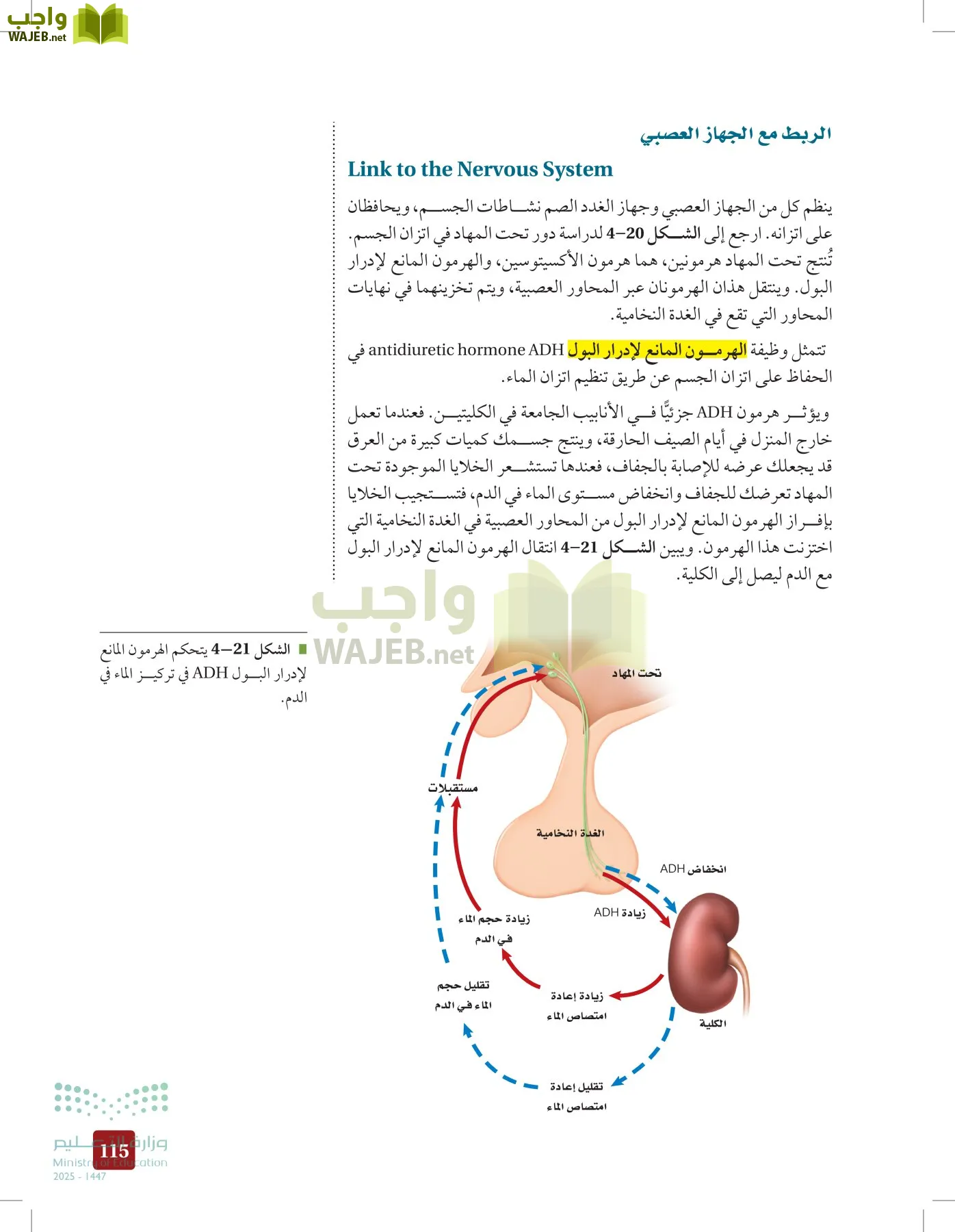 الأحياء 2-2  الفصل الثاني page-114