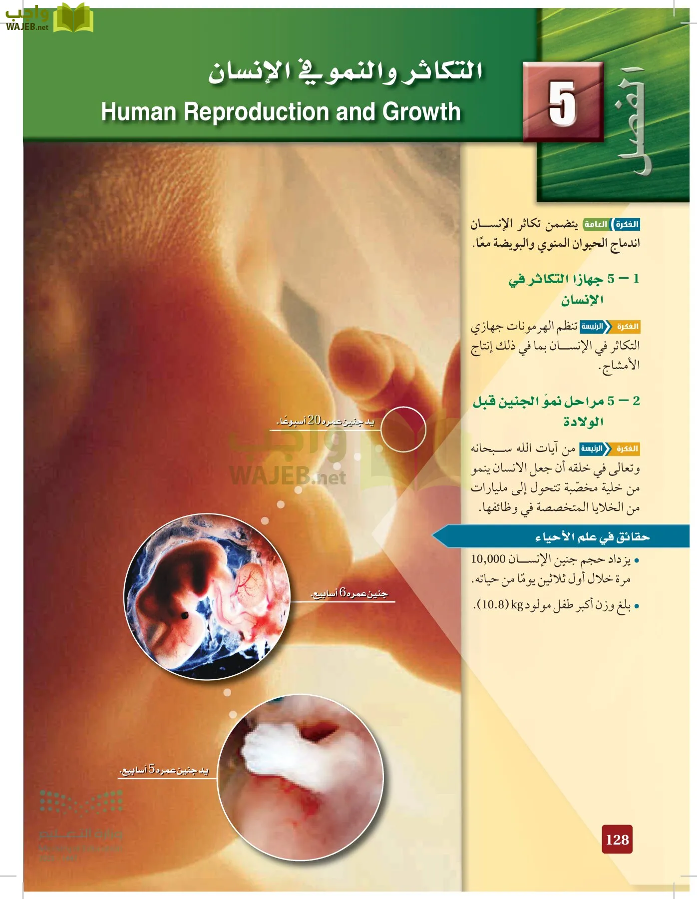 الأحياء 2-2  الفصل الثاني page-127