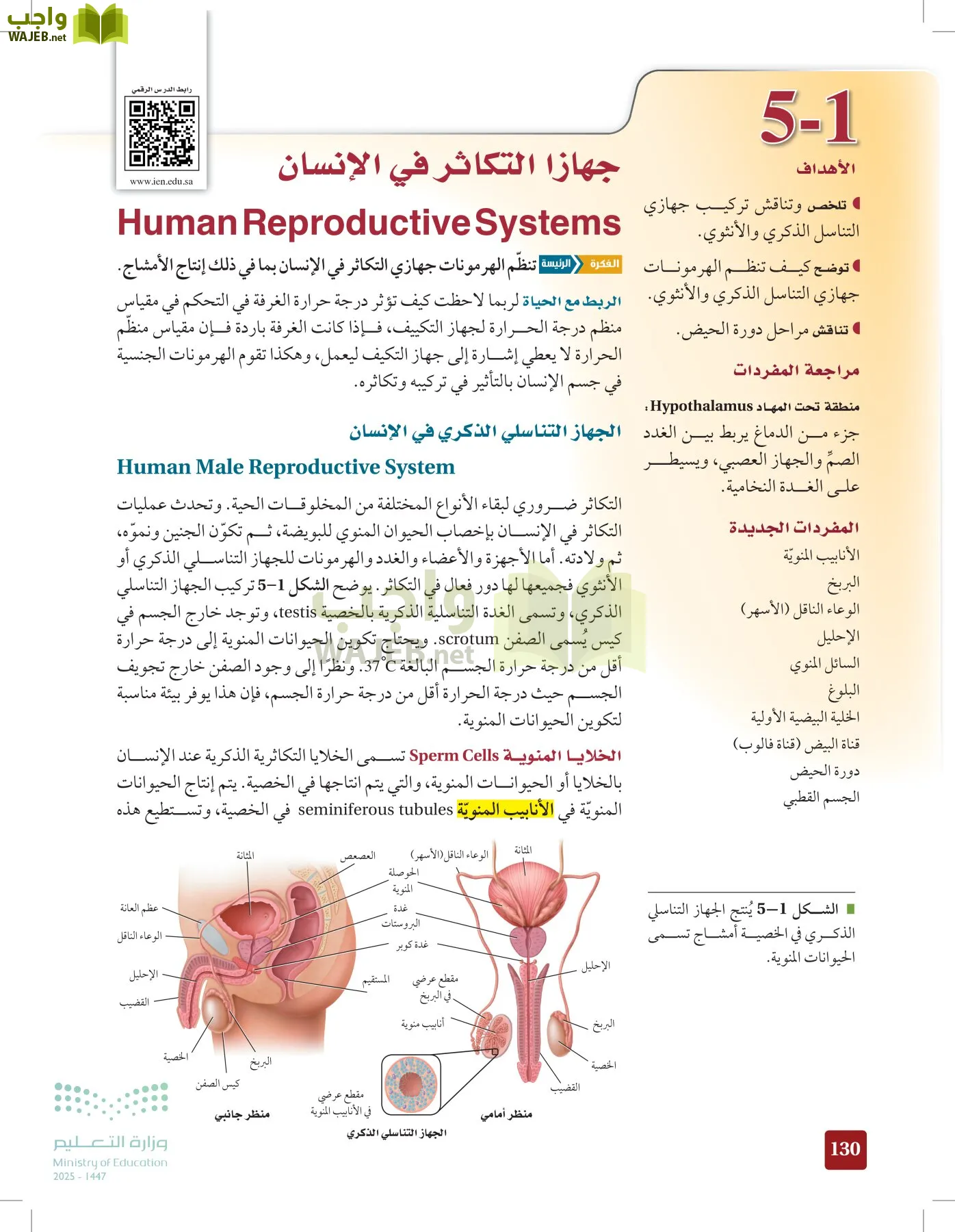 الأحياء 2-2  الفصل الثاني page-129