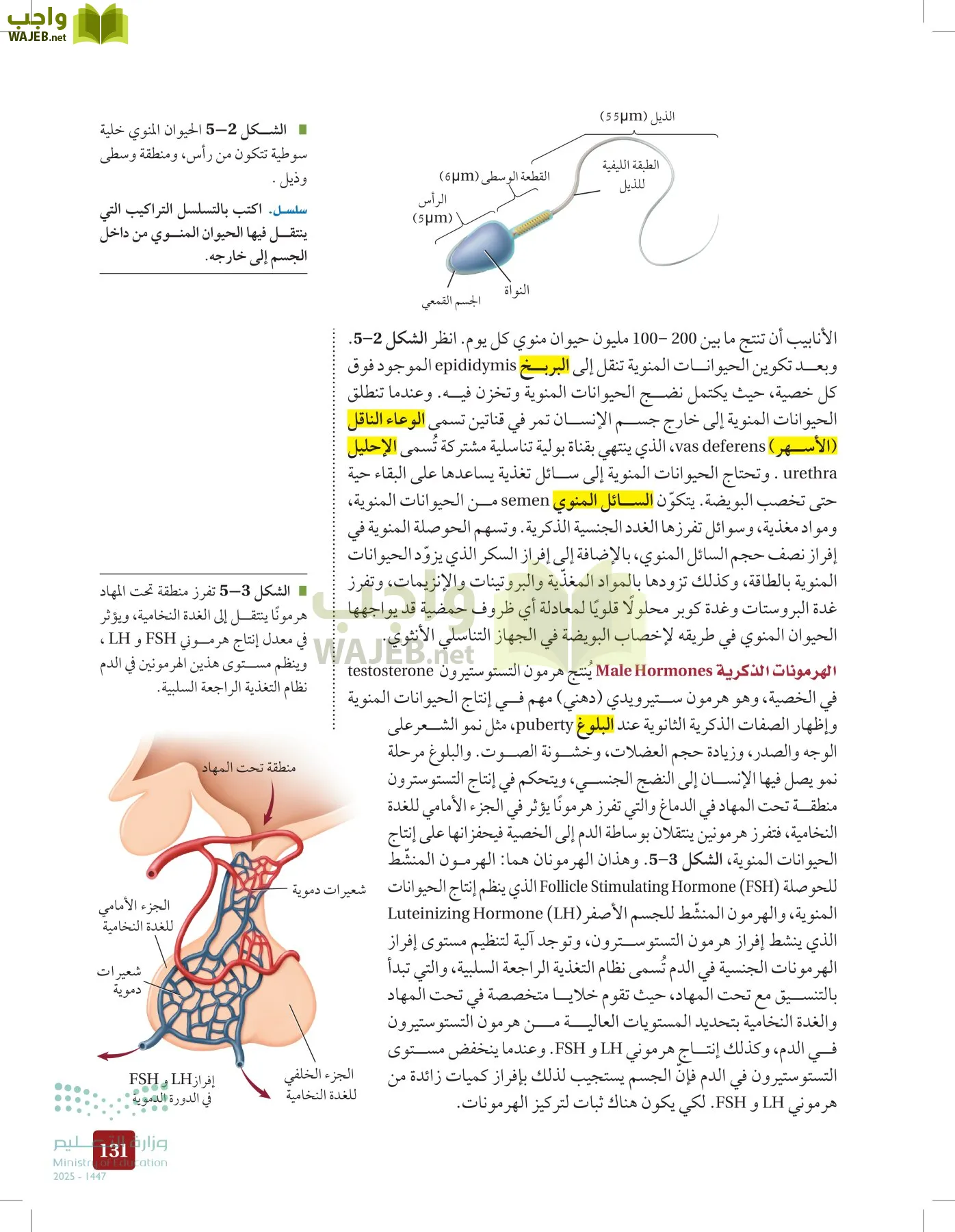 الأحياء 2-2  الفصل الثاني page-130