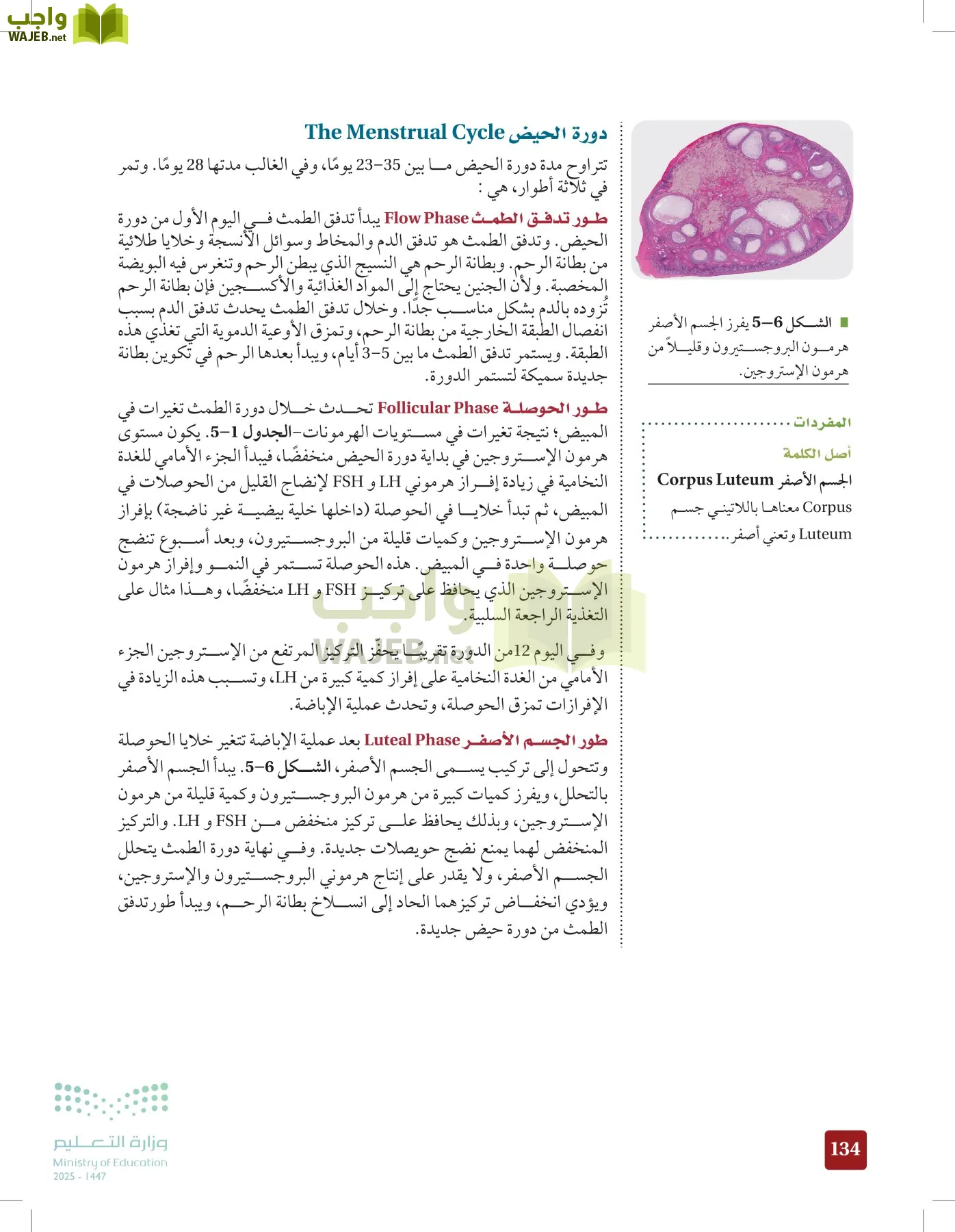 الأحياء 2-2  الفصل الثاني page-133