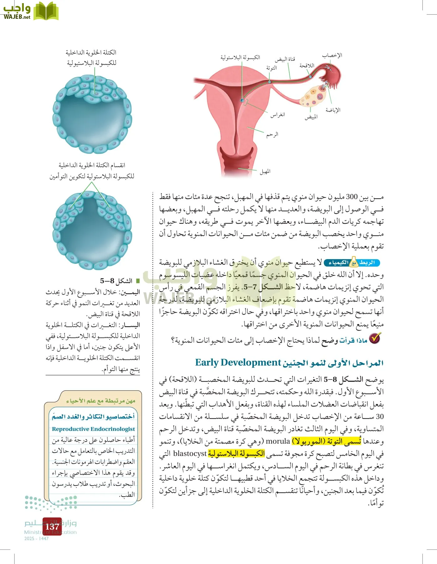 الأحياء 2-2  الفصل الثاني page-136