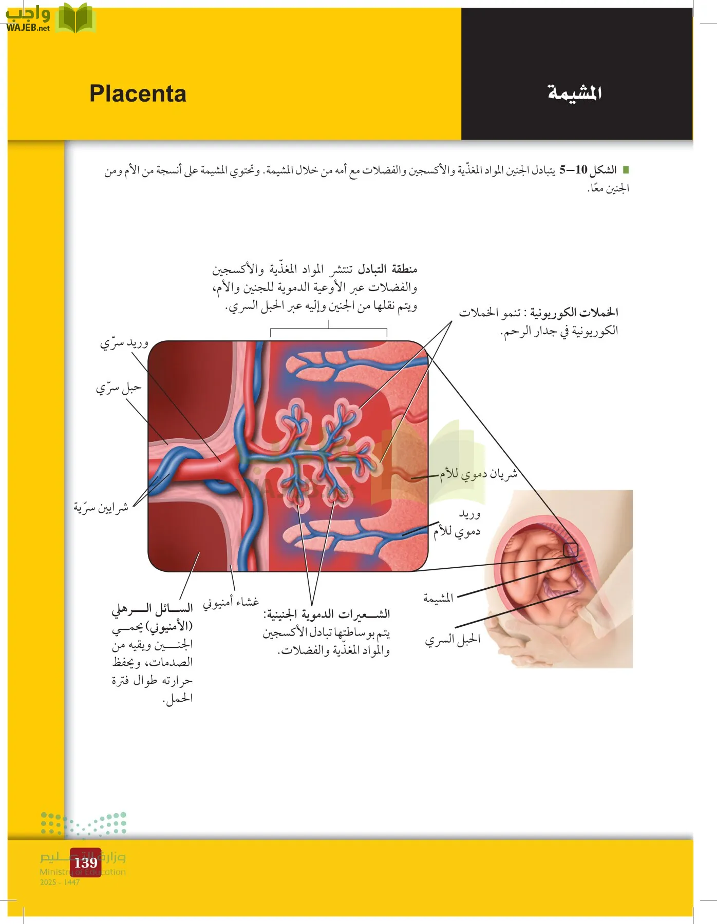 الأحياء 2-2  الفصل الثاني page-138
