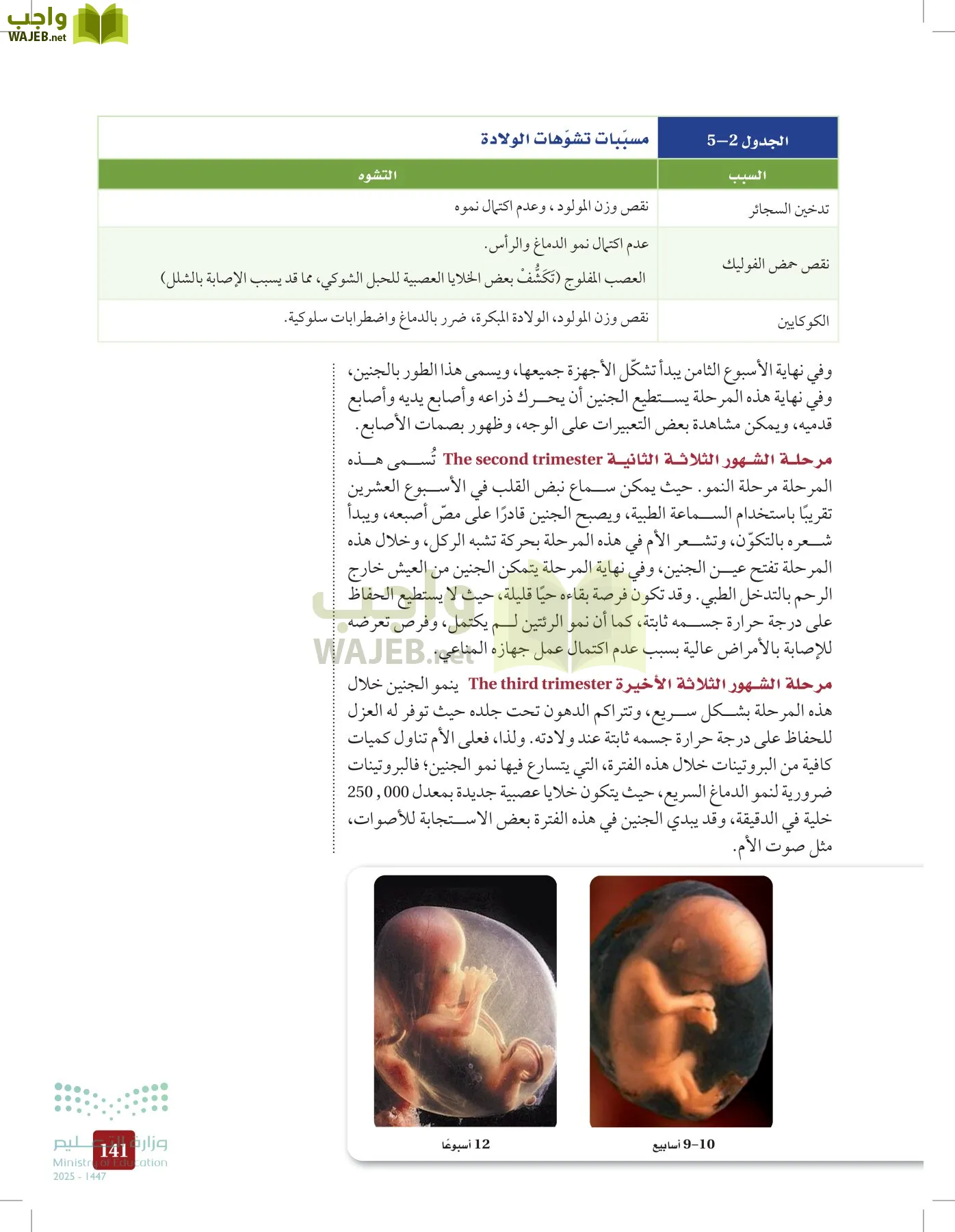 الأحياء 2-2  الفصل الثاني page-140