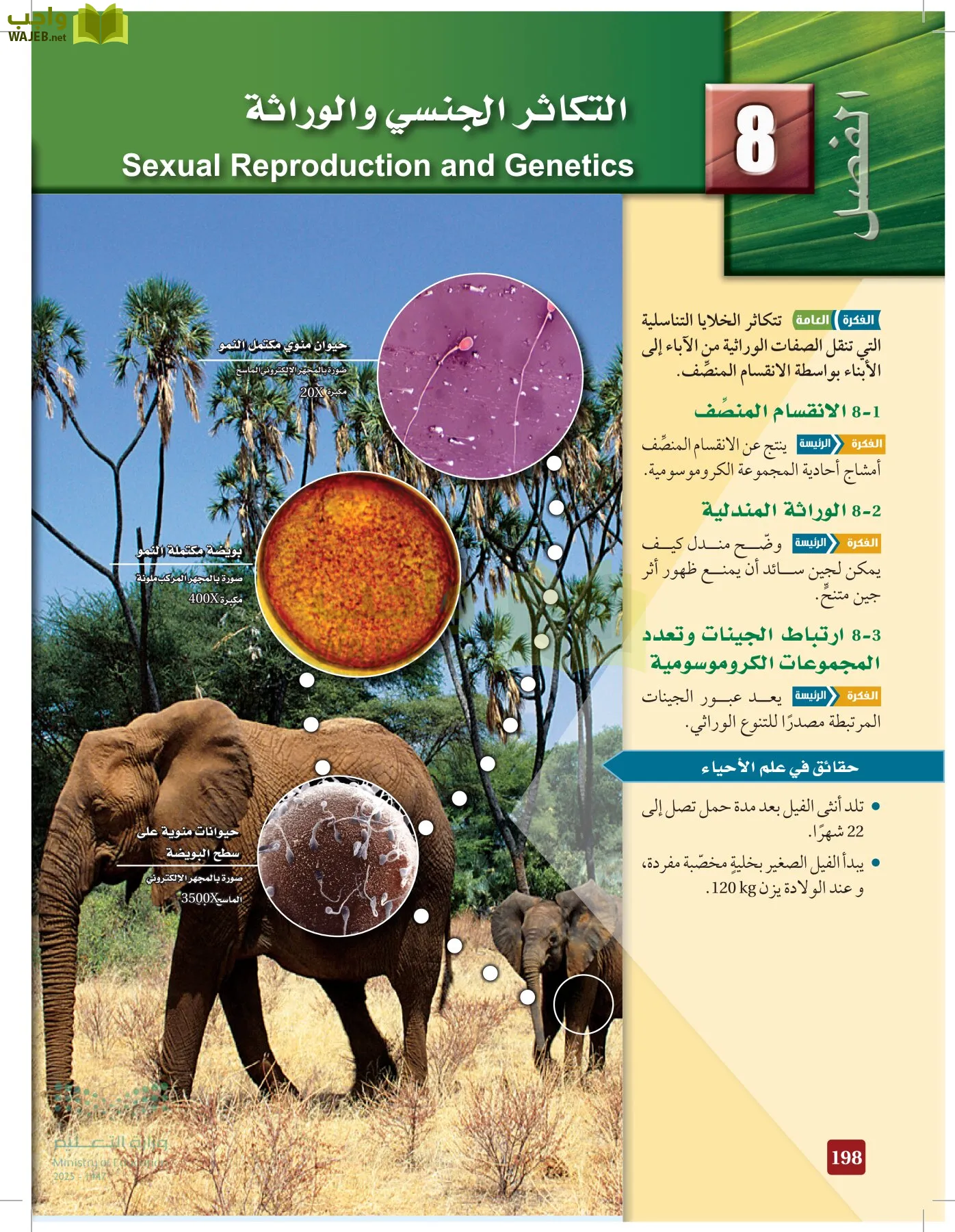 الأحياء 2-2  الفصل الثاني page-197