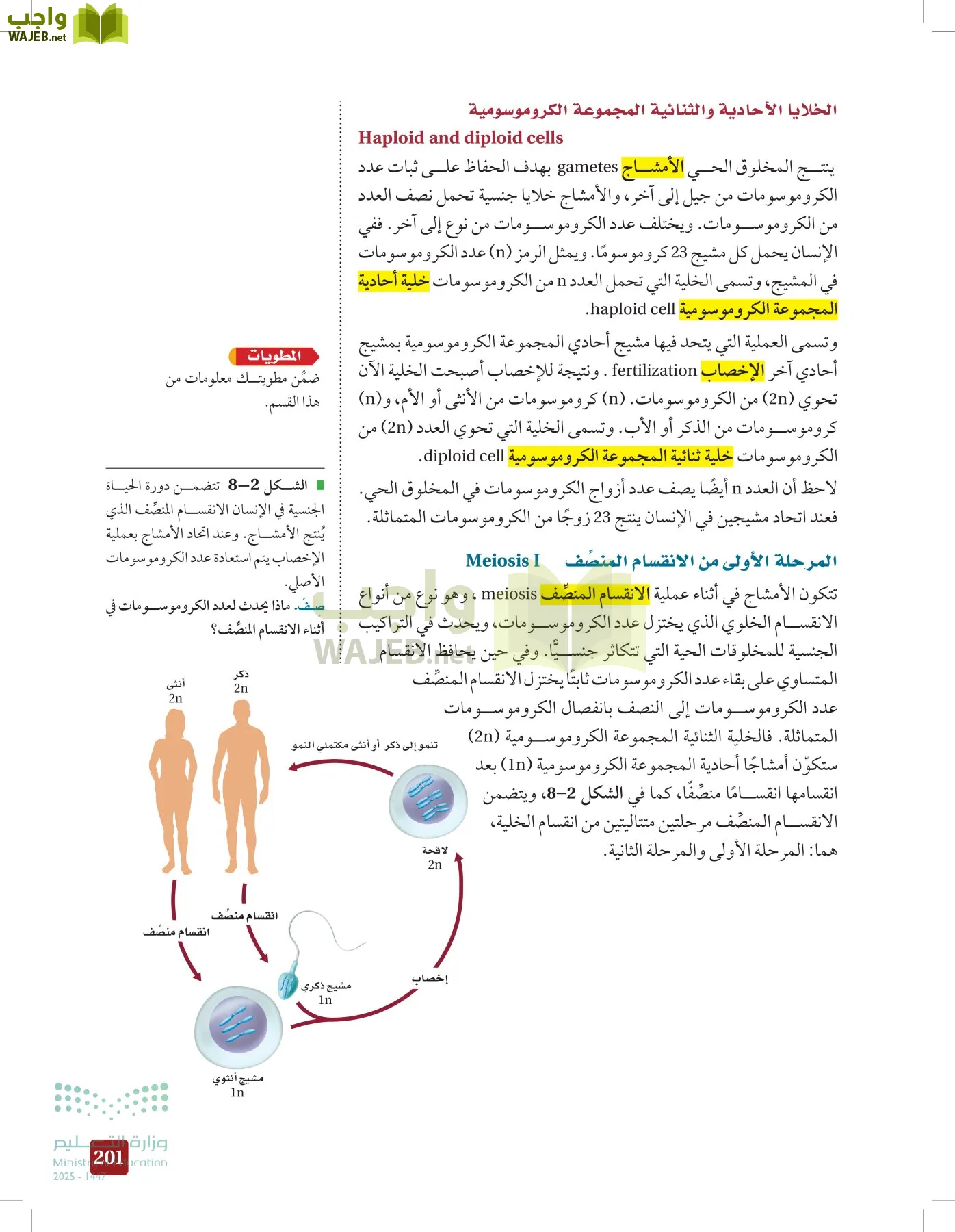 الأحياء 2-2  الفصل الثاني page-200