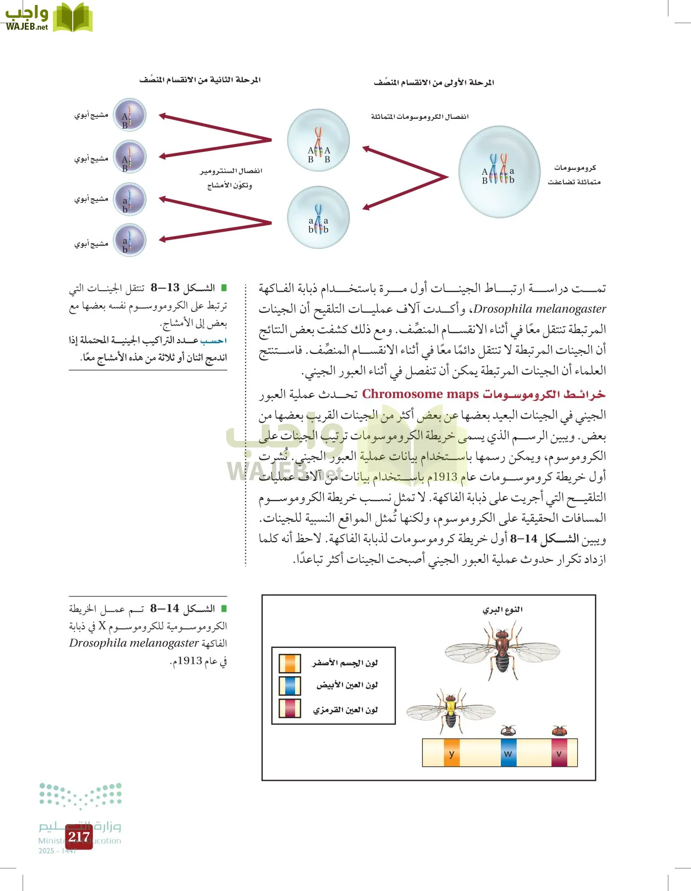 الأحياء 2-2  الفصل الثاني page-216