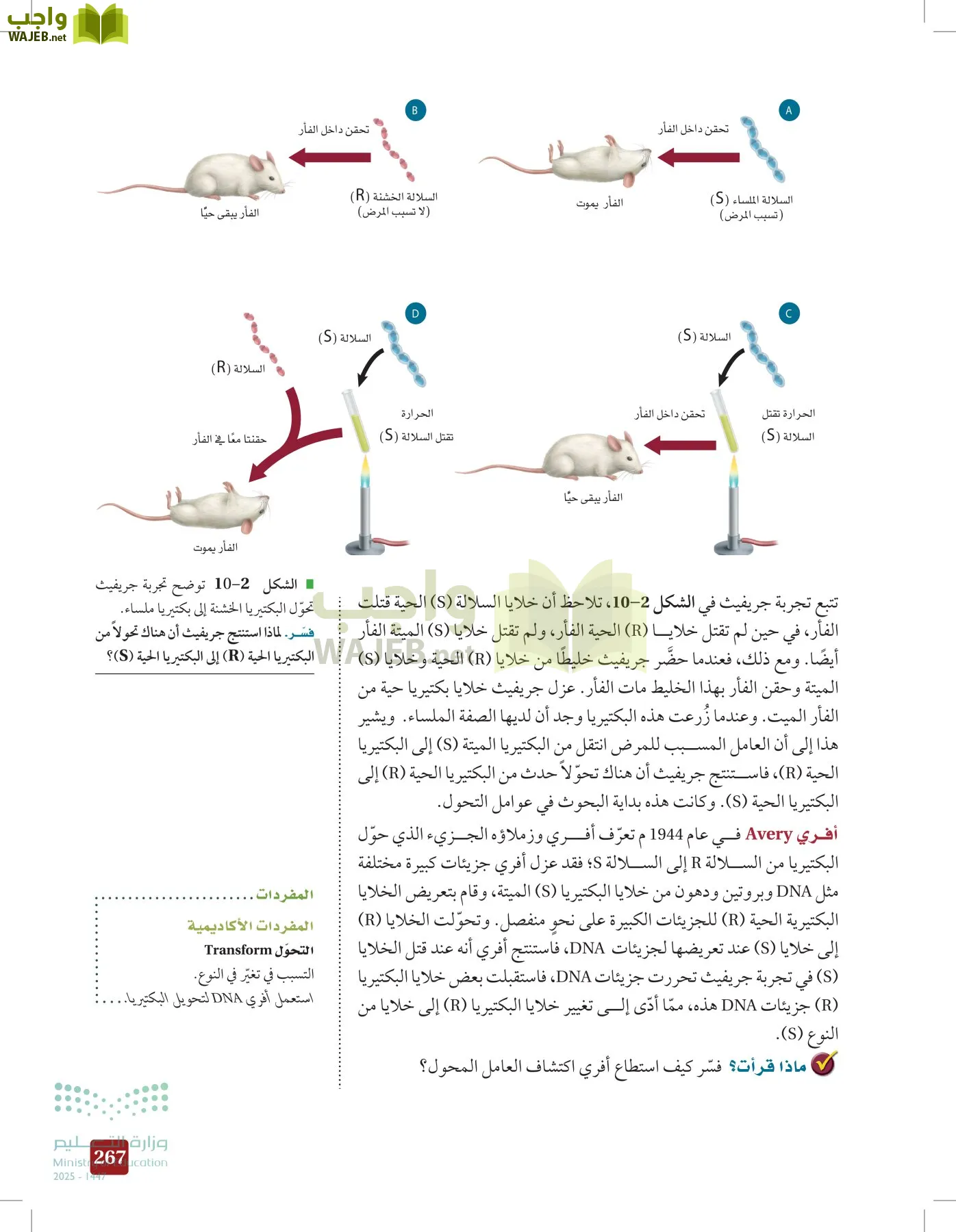 الأحياء 2-2  الفصل الثاني page-266