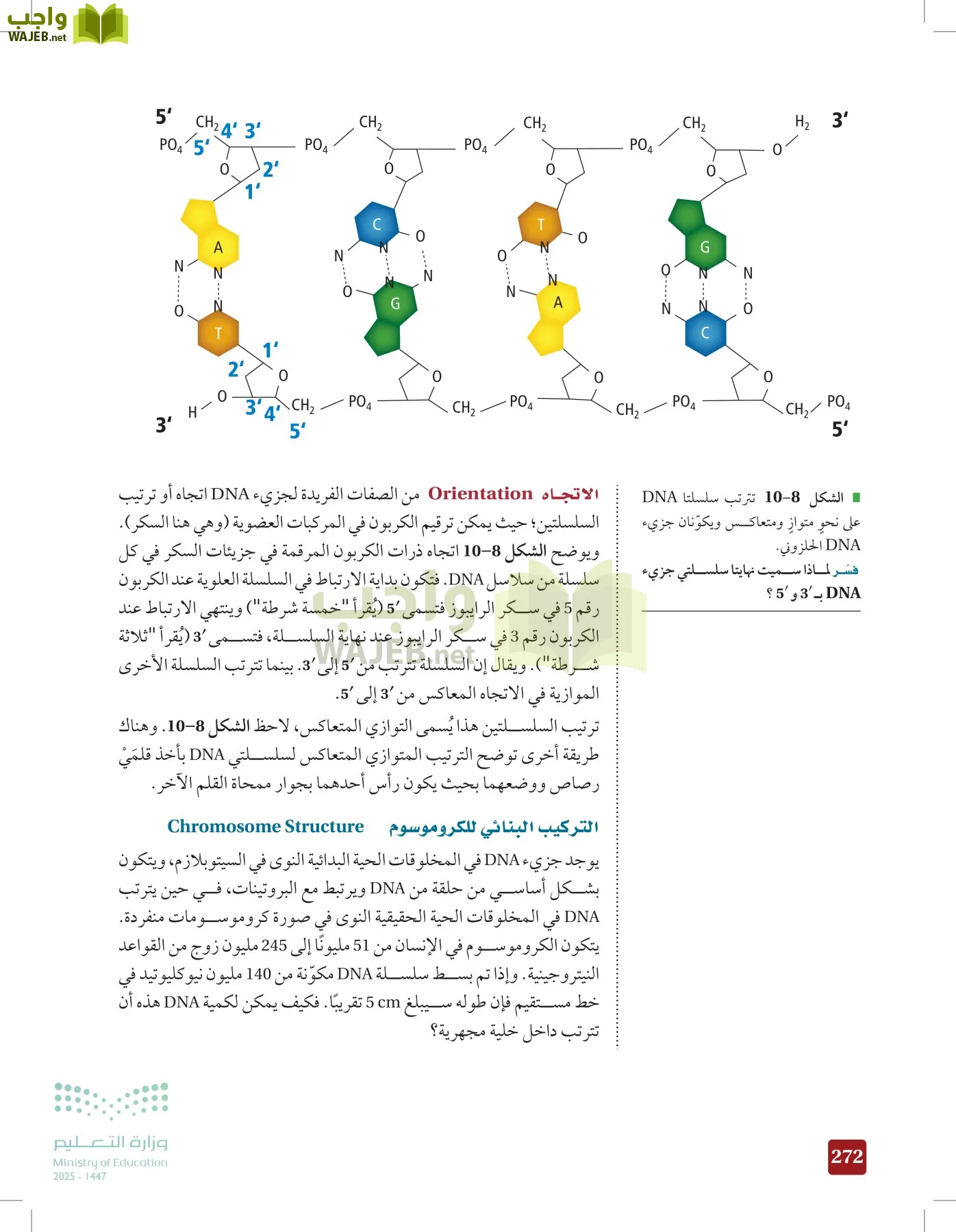 الأحياء 2-2  الفصل الثاني page-271