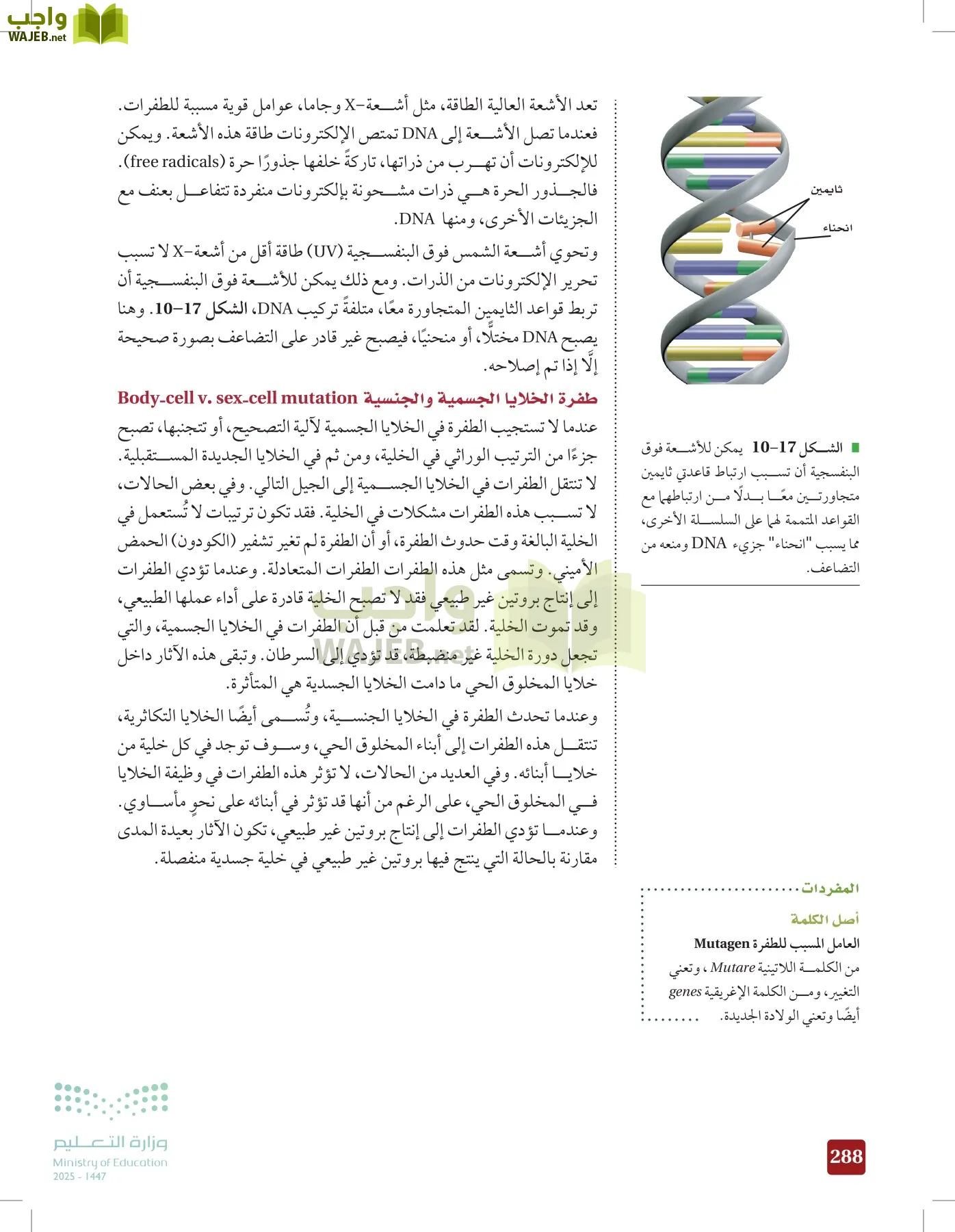 الأحياء 2-2  الفصل الثاني page-287