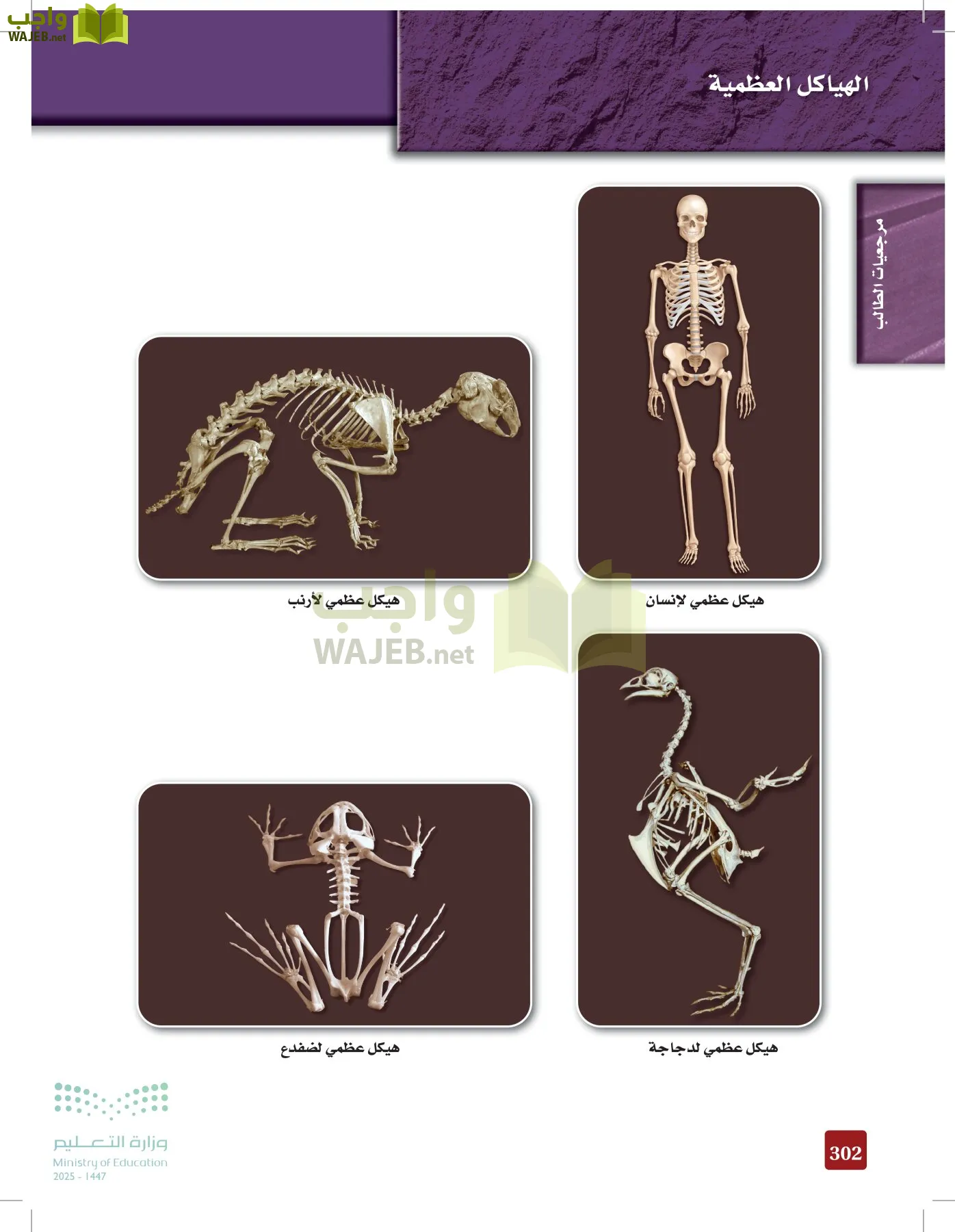 الأحياء 2-2  الفصل الثاني page-301