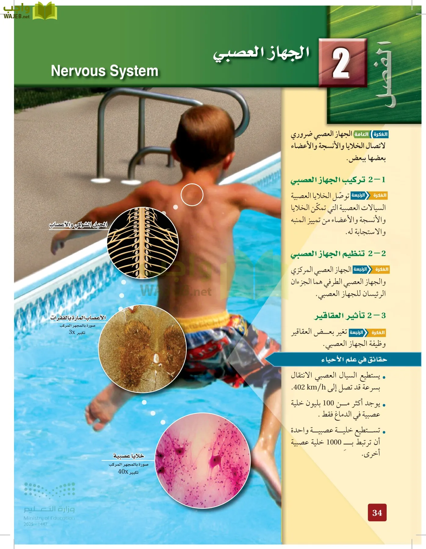 الأحياء 2-2  الفصل الثاني page-33