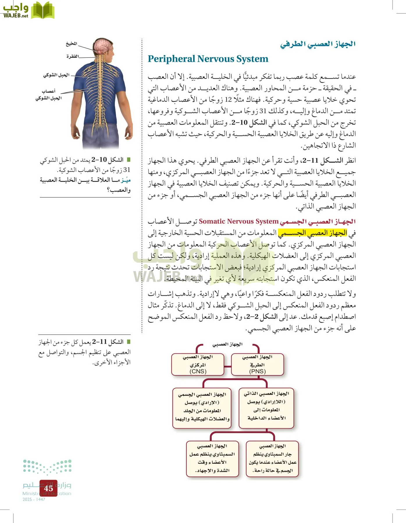 الأحياء 2-2  الفصل الثاني page-44