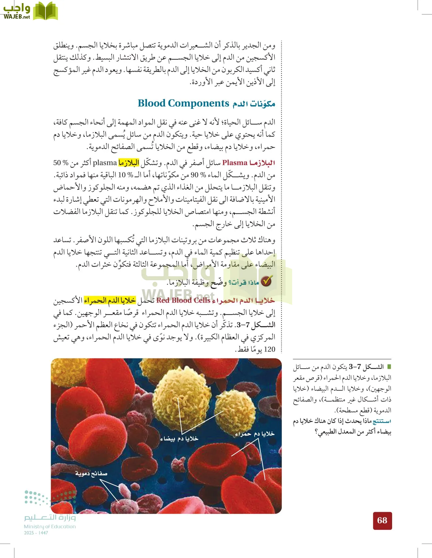 الأحياء 2-2  الفصل الثاني page-67