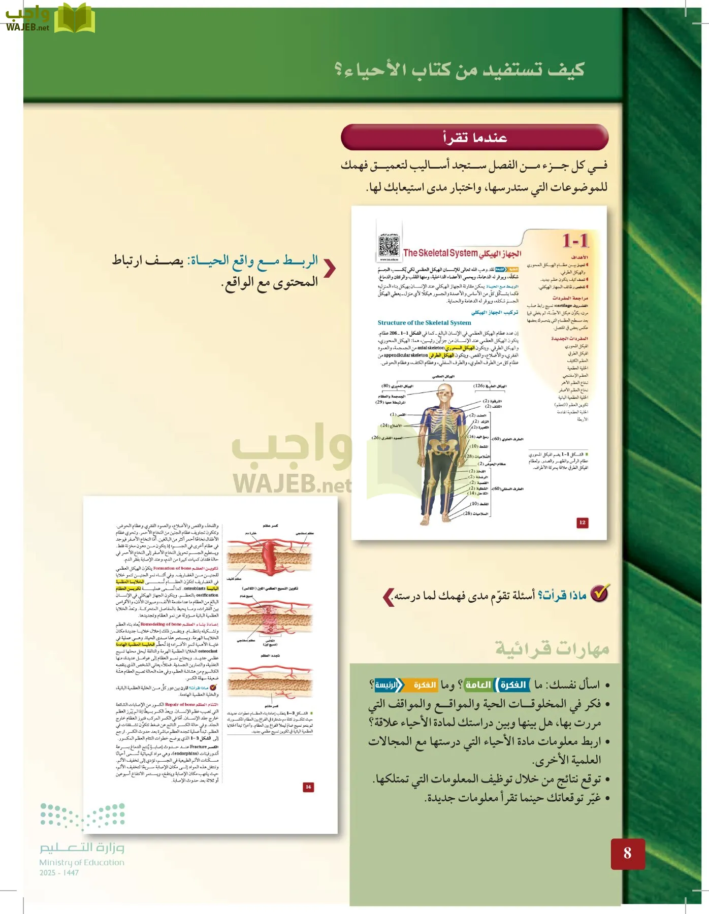 الأحياء 2-2  الفصل الثاني page-7