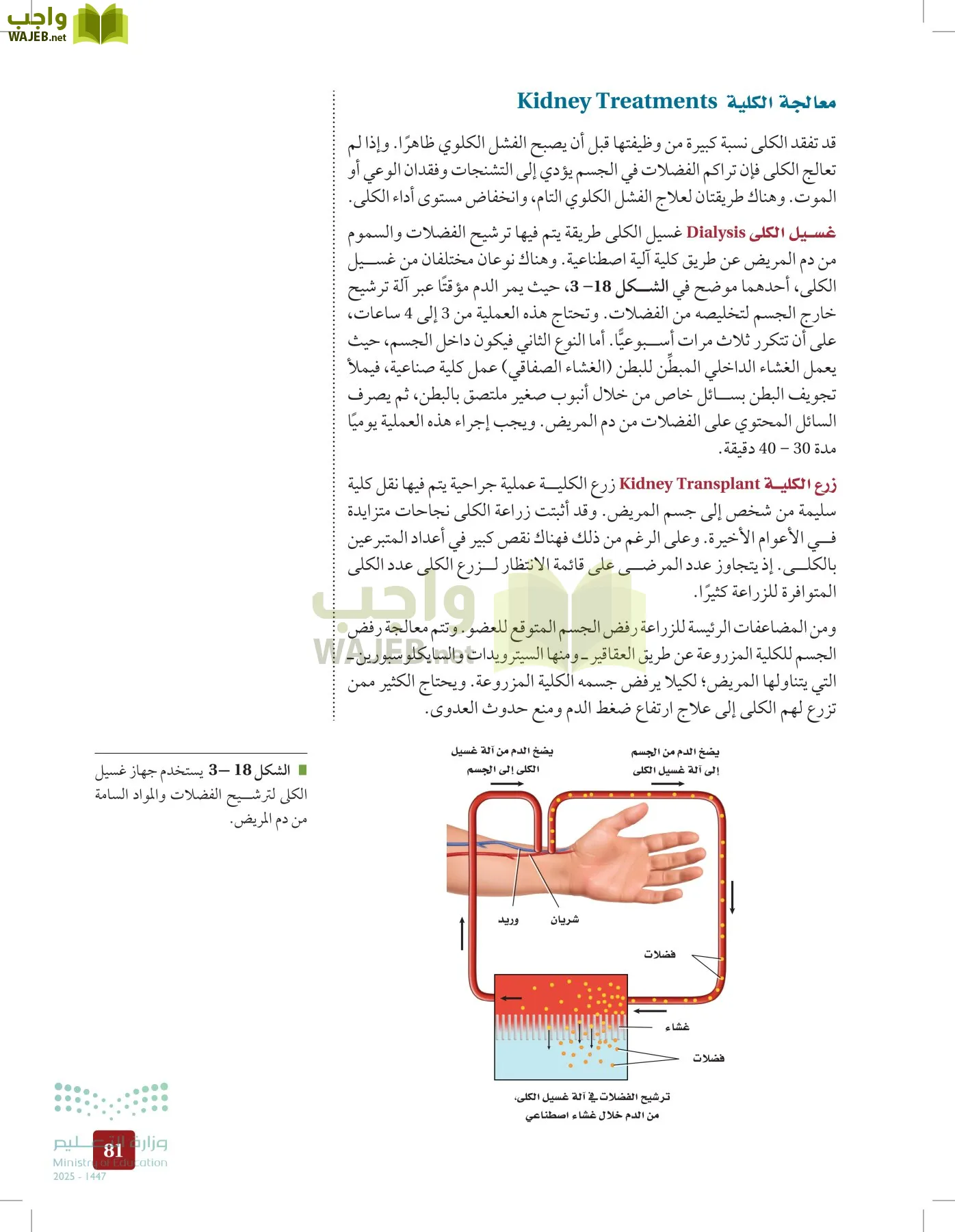 الأحياء 2-2  الفصل الثاني page-80