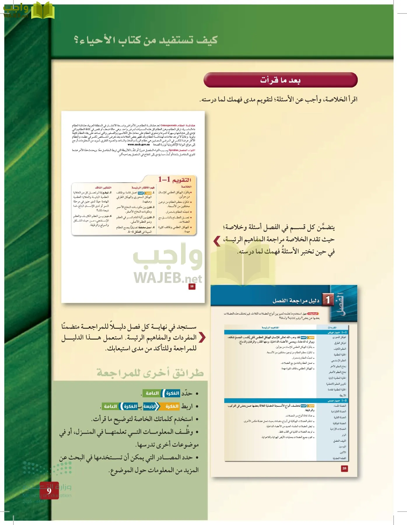 الأحياء 2-2  الفصل الثاني page-8