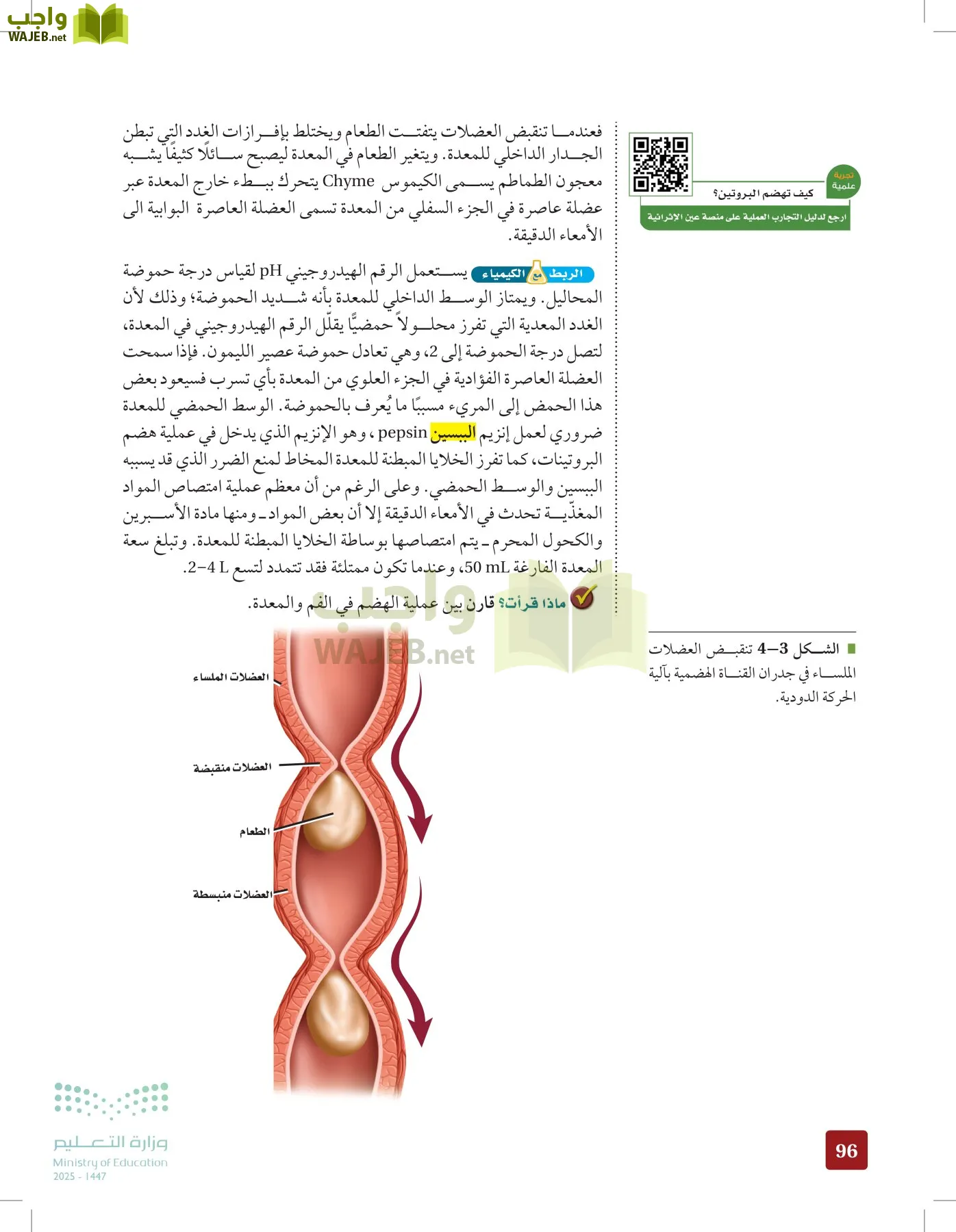 الأحياء 2-2  الفصل الثاني page-95