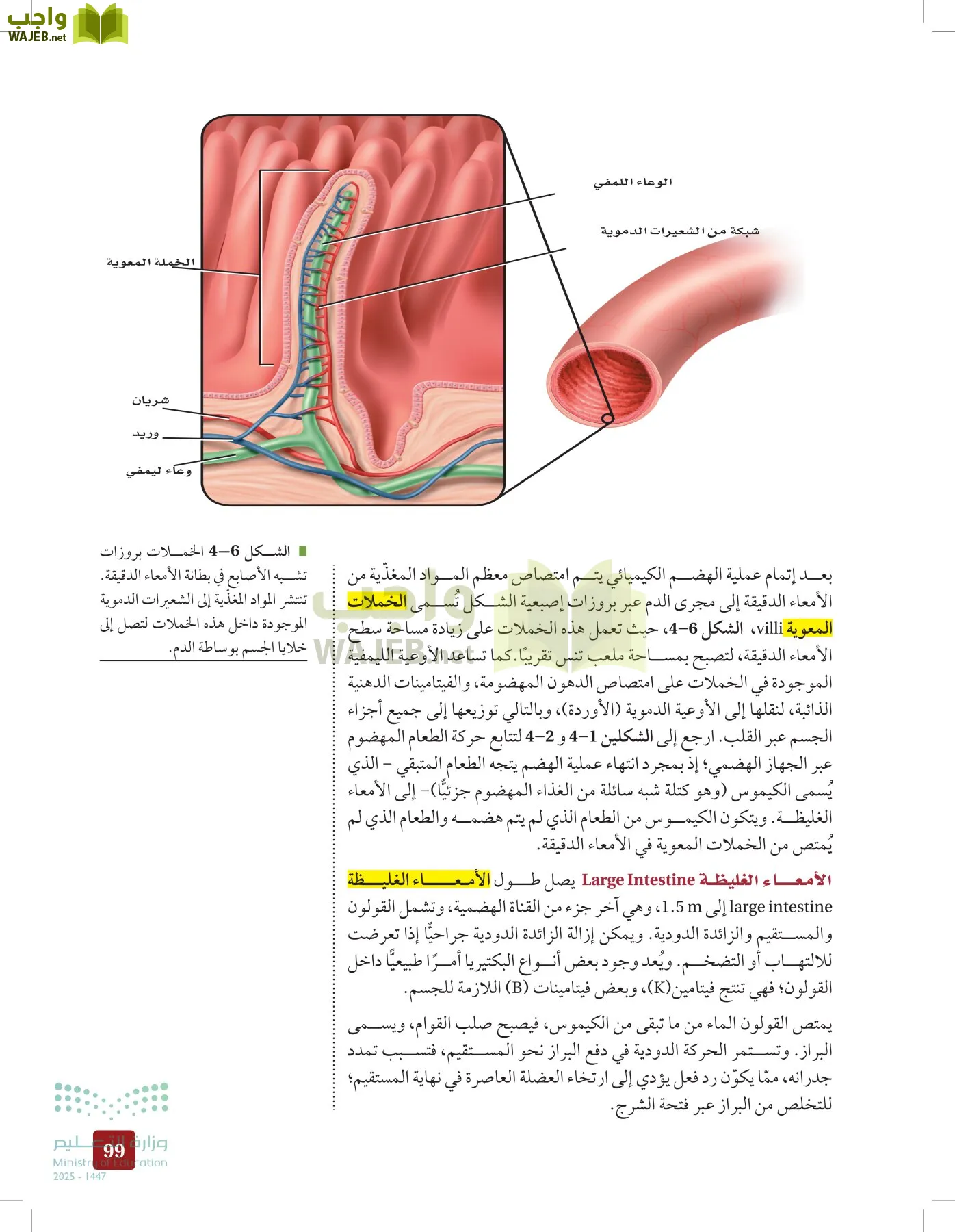 الأحياء 2-2  الفصل الثاني page-98