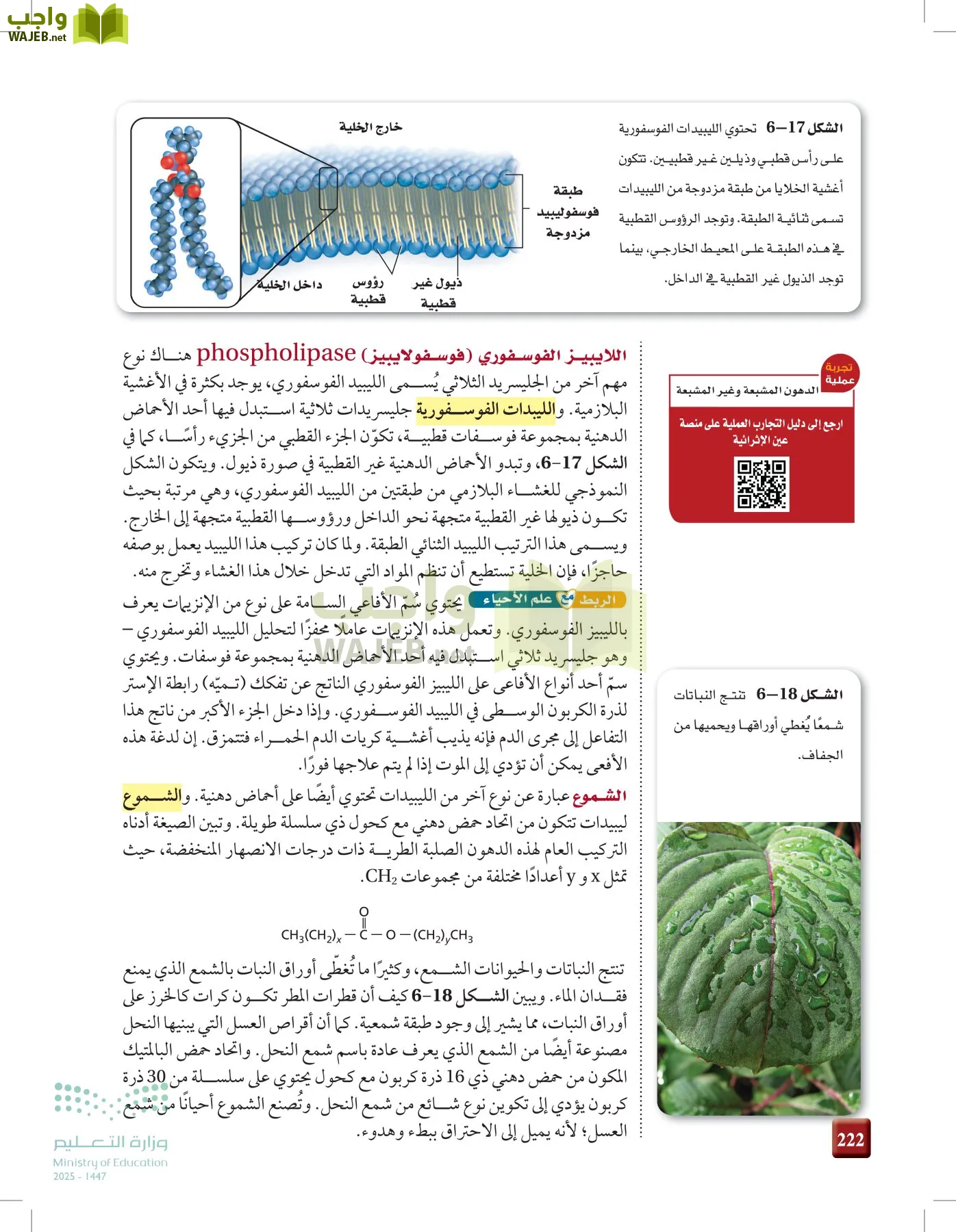 الكيمياء 2-2  الفصل الثاني page-221