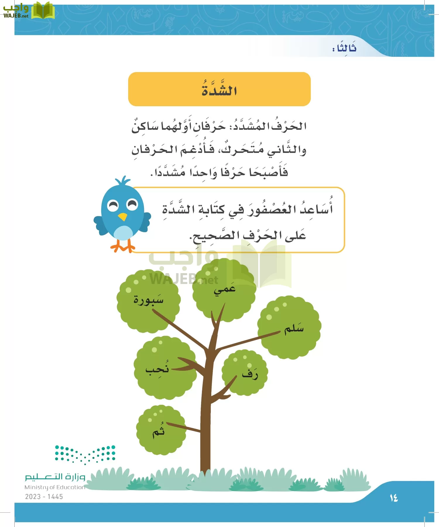 لغتي الجميلة page-13