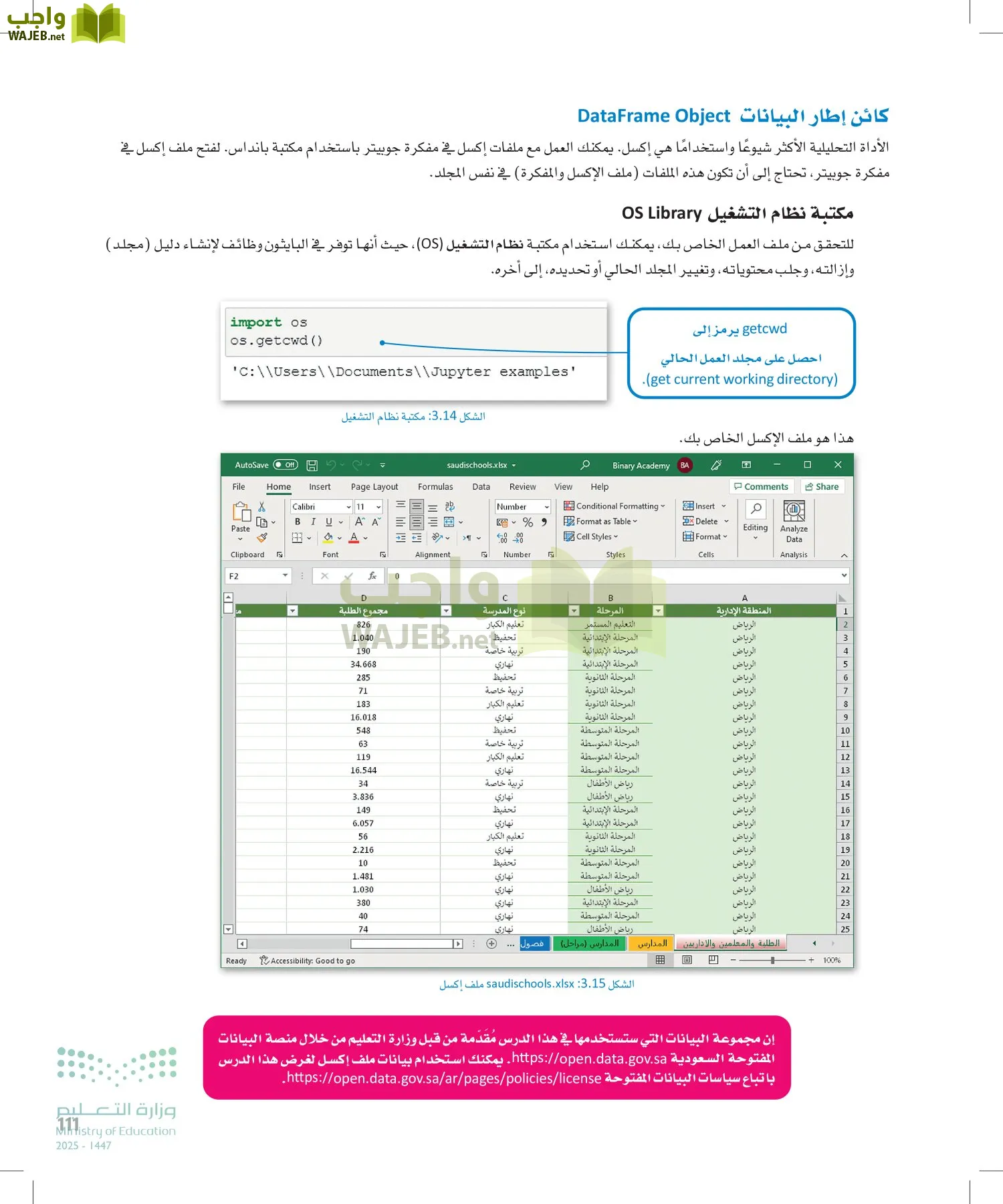 علم البيانات page-110