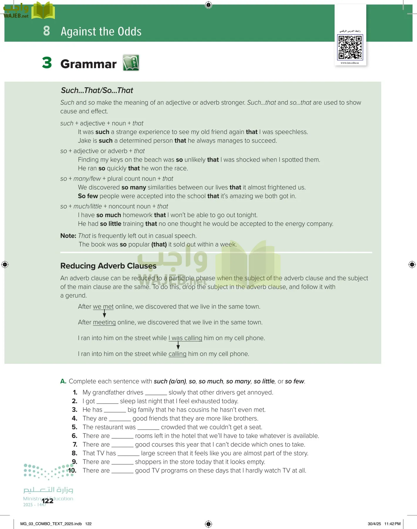 MEGA GOAL 3 page-127