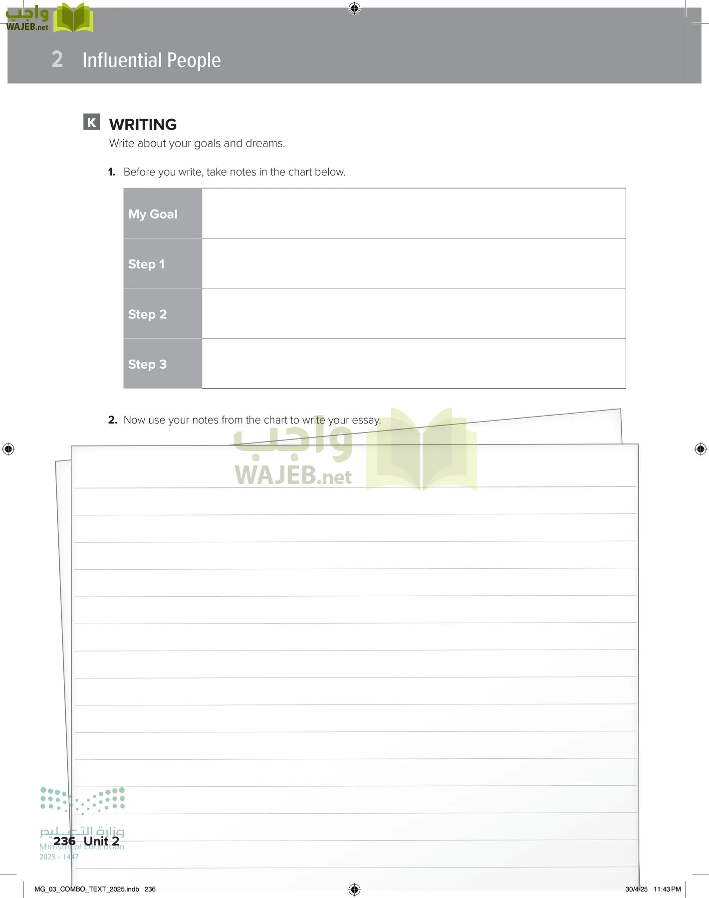 MEGA GOAL 3 page-241