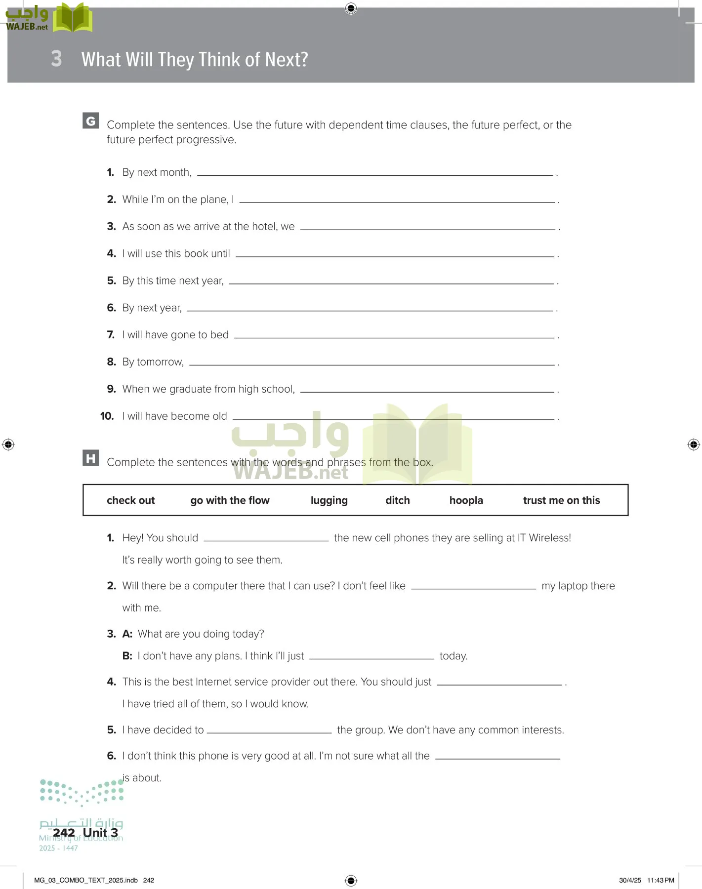 MEGA GOAL 3 page-247