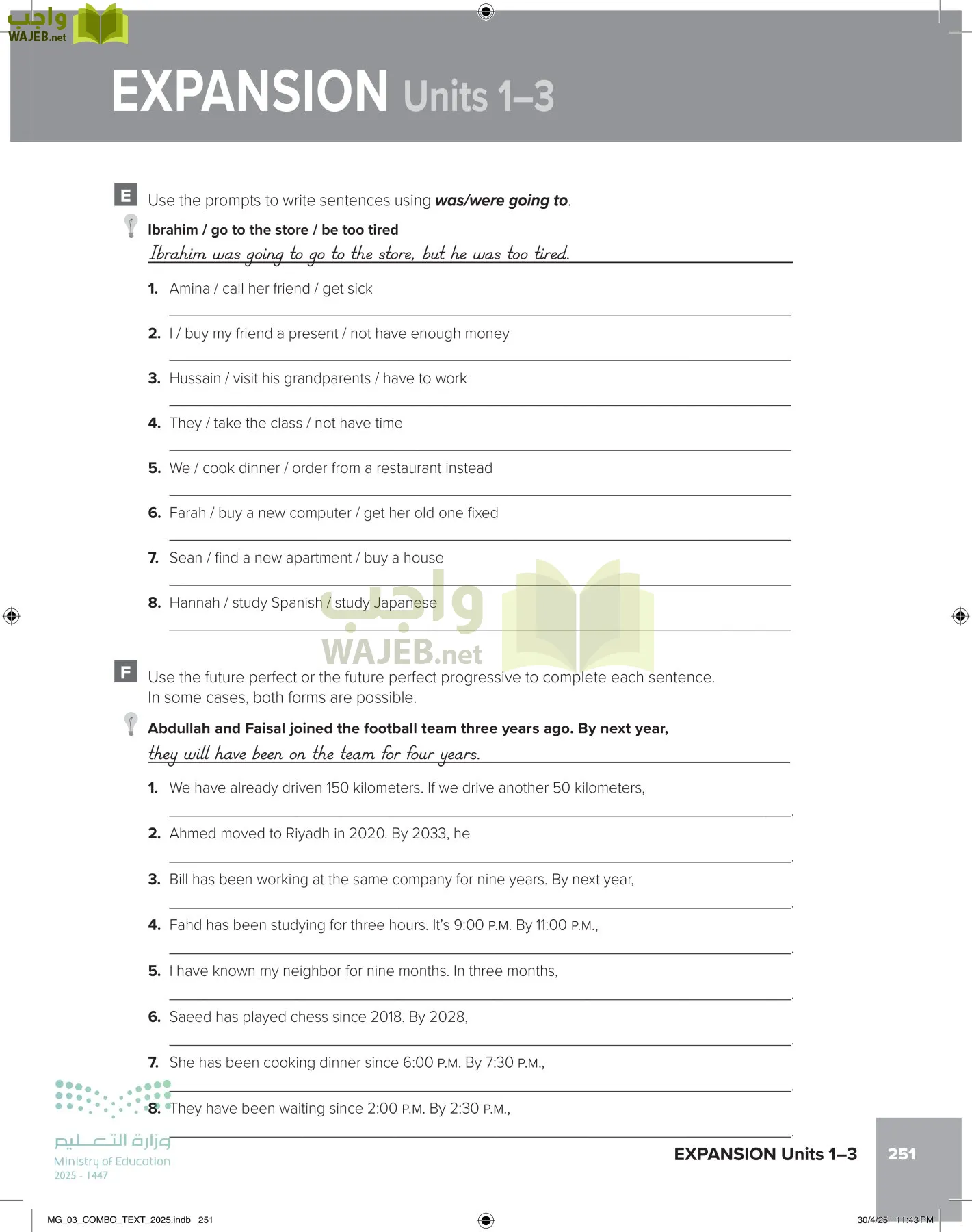 MEGA GOAL 3 page-256