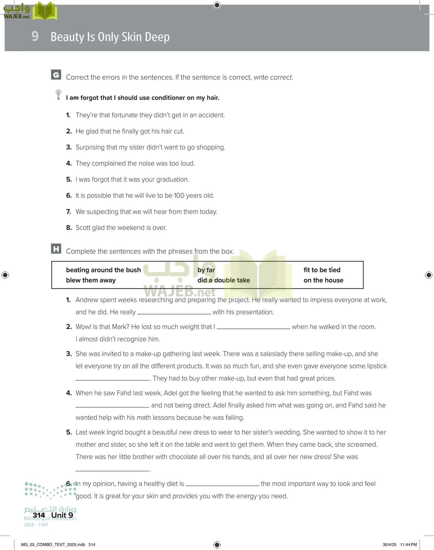 MEGA GOAL 3 page-319