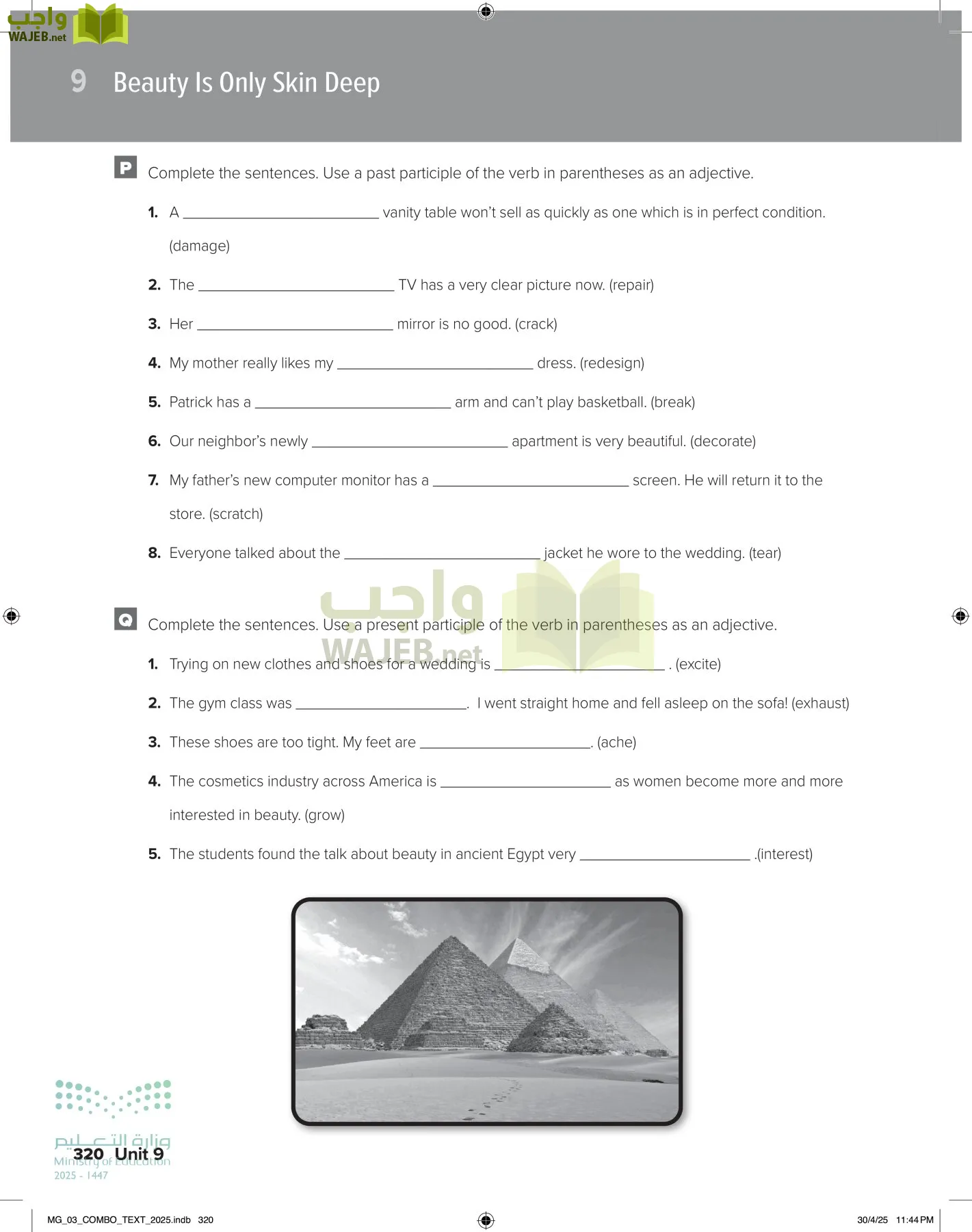 MEGA GOAL 3 page-325