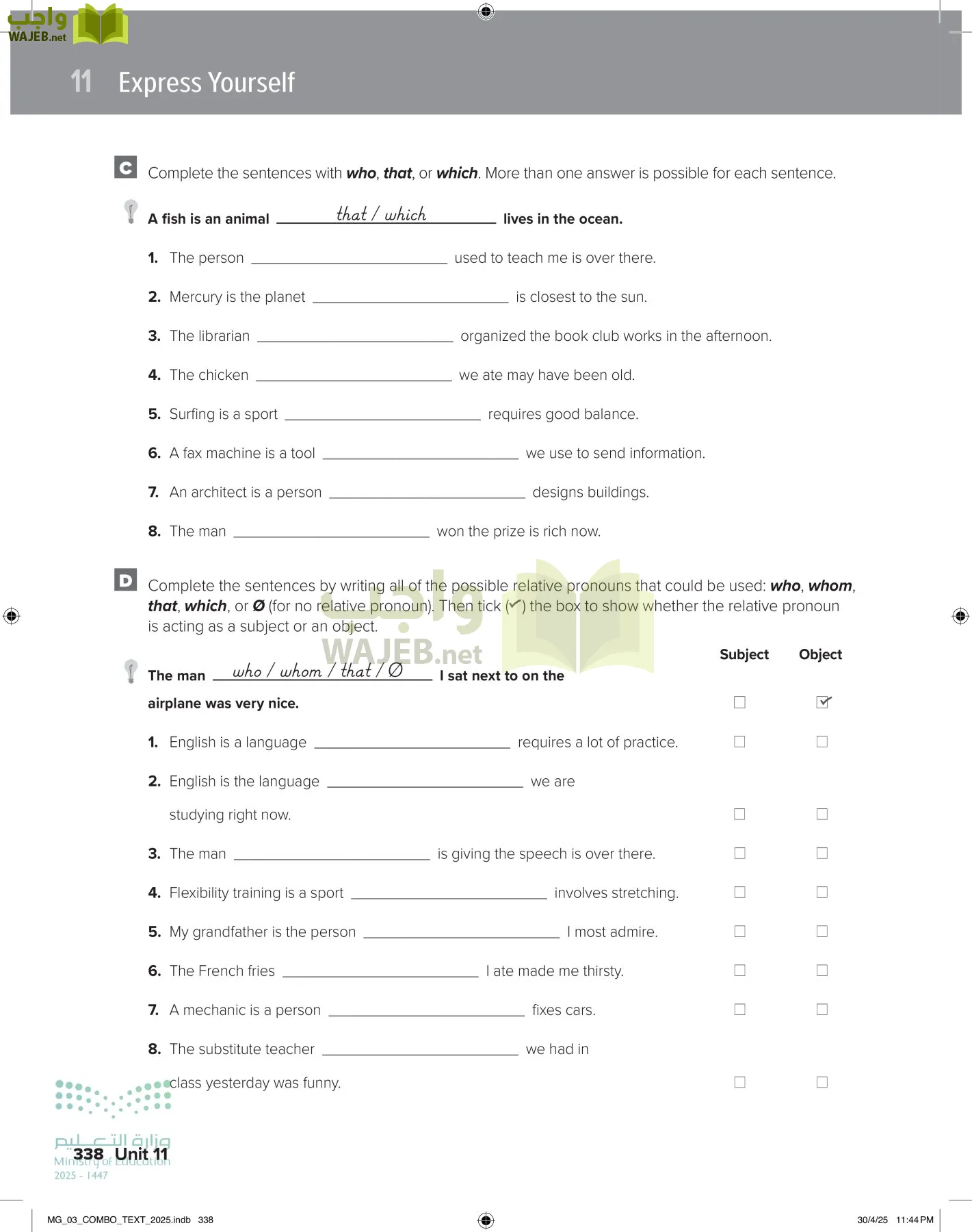 MEGA GOAL 3 page-343