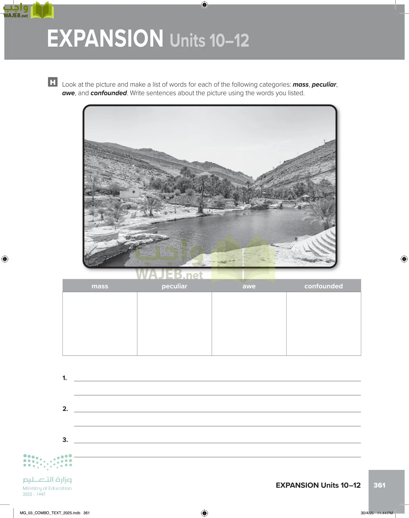 MEGA GOAL 3 page-366