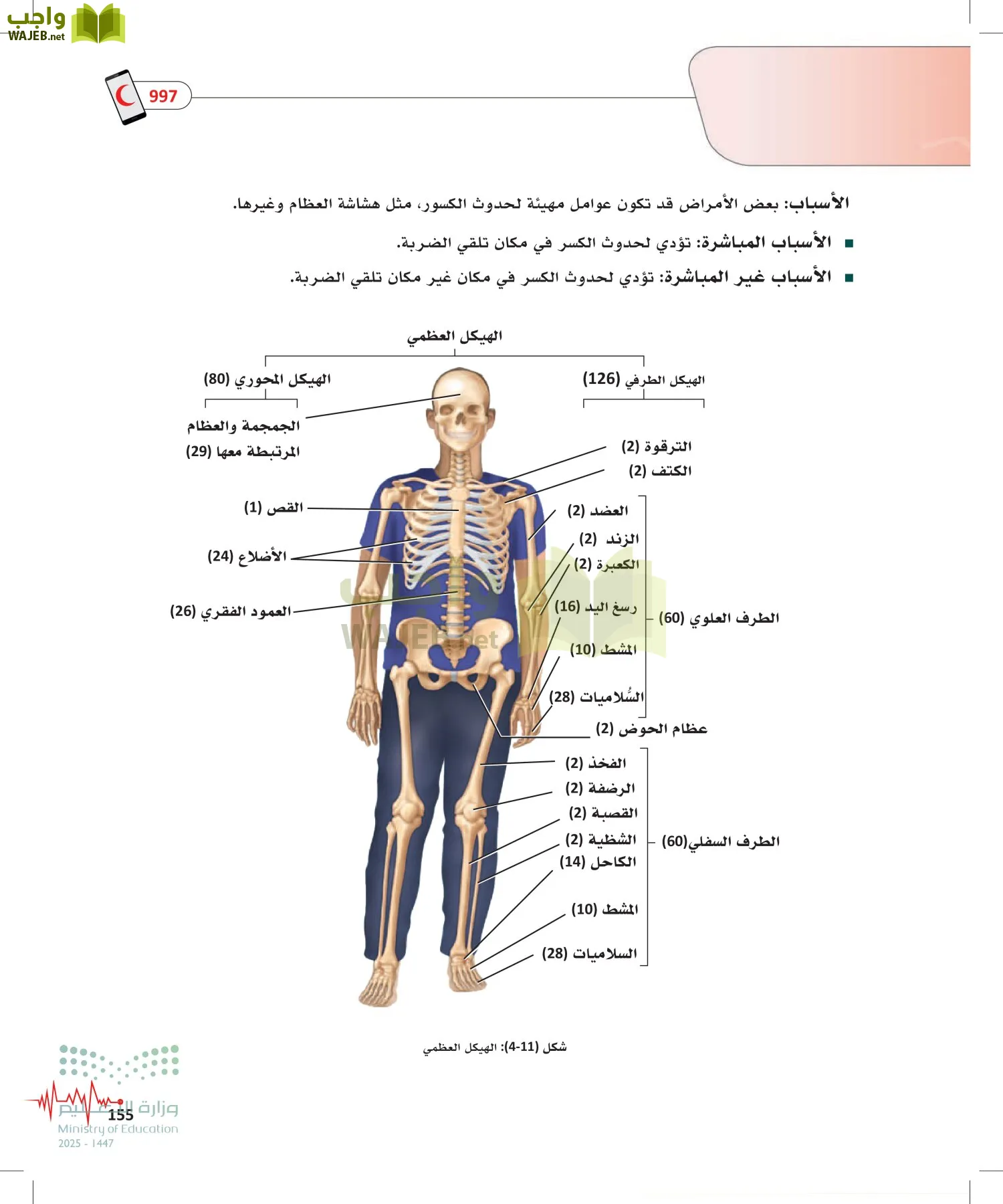 الإسعافات الأولية page-154