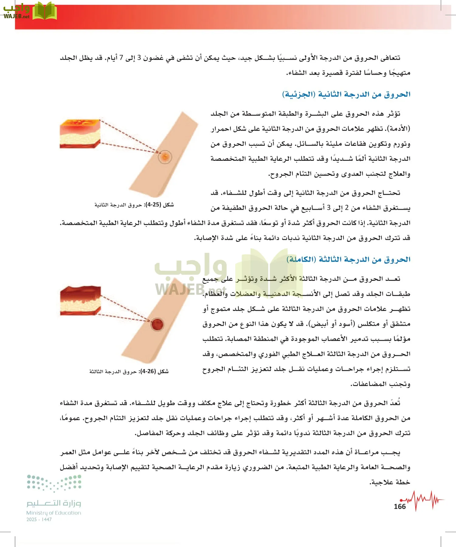 الإسعافات الأولية page-165