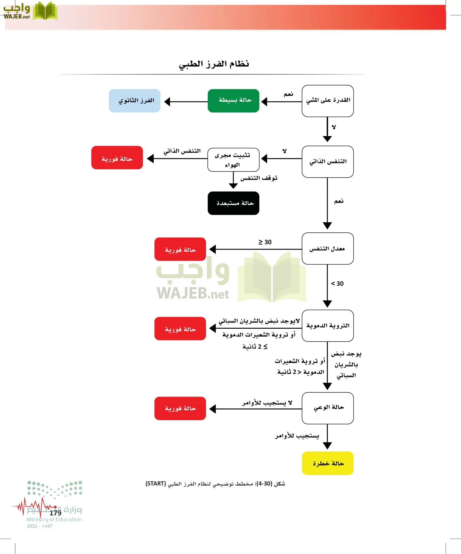 الإسعافات الأولية page-178