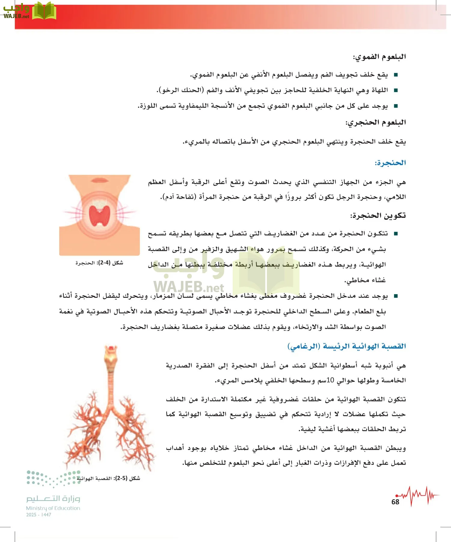 الإسعافات الأولية page-67