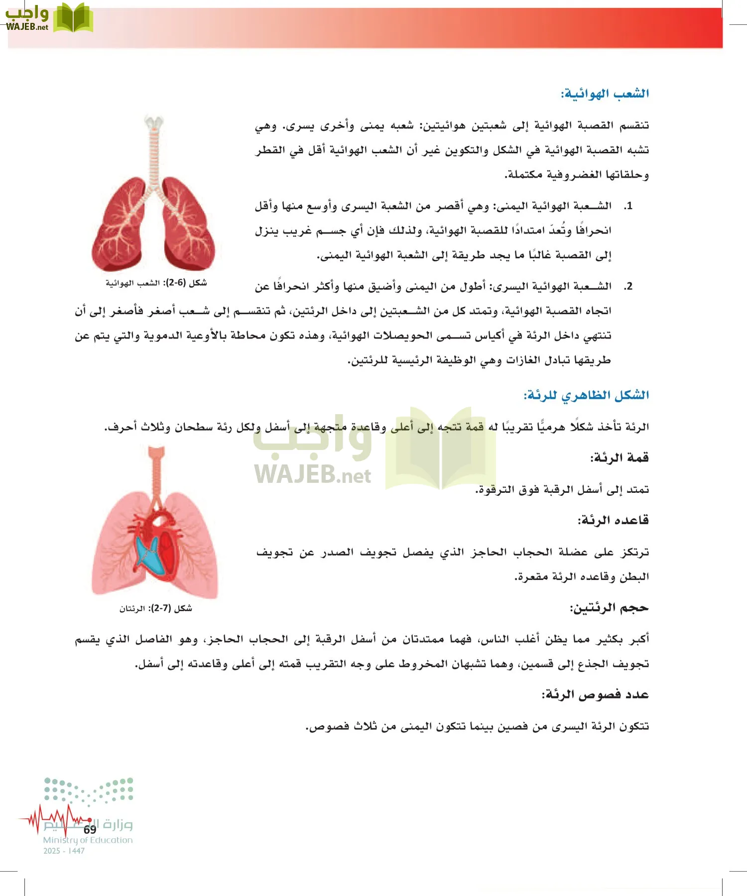 الإسعافات الأولية page-68