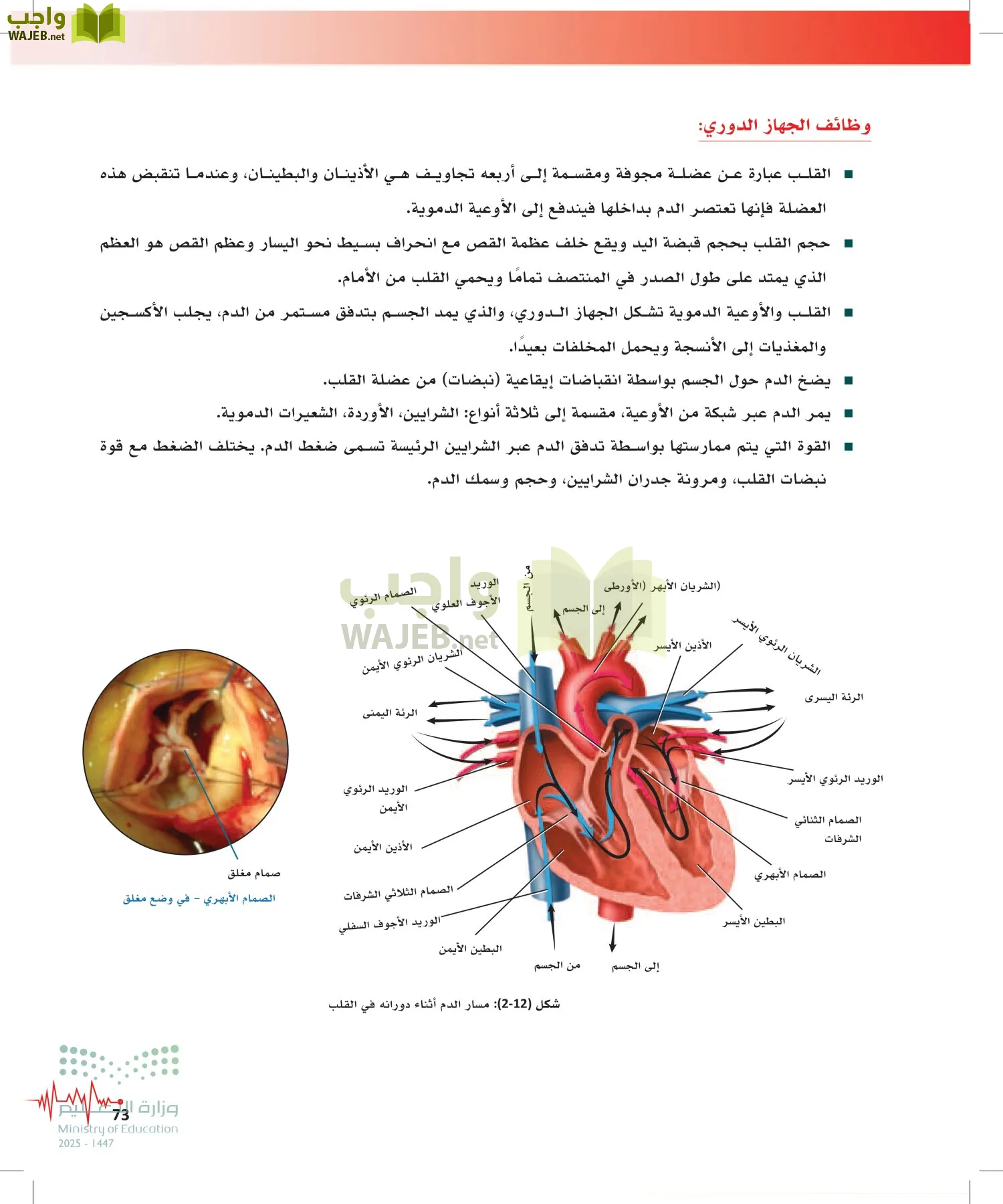 الإسعافات الأولية page-72