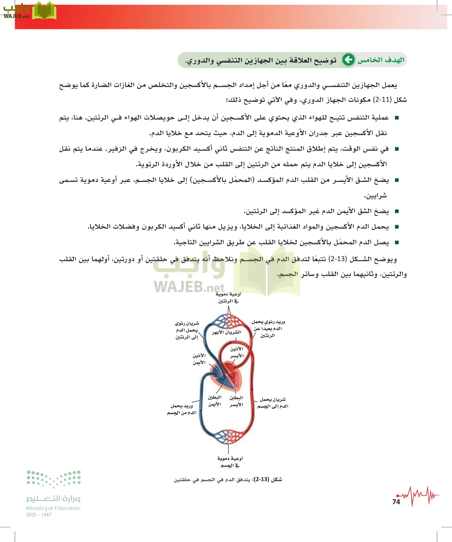 الإسعافات الأولية page-73