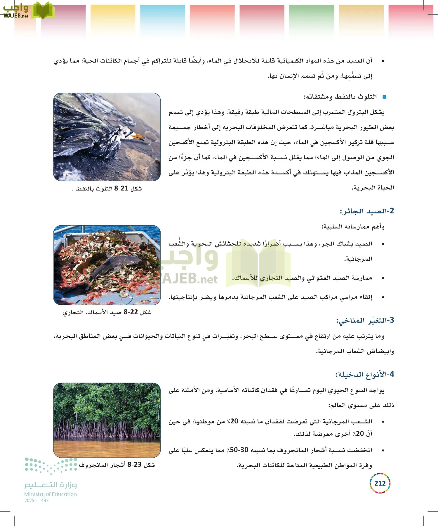 التنمية المستدامة-المجال الاختياري page-211