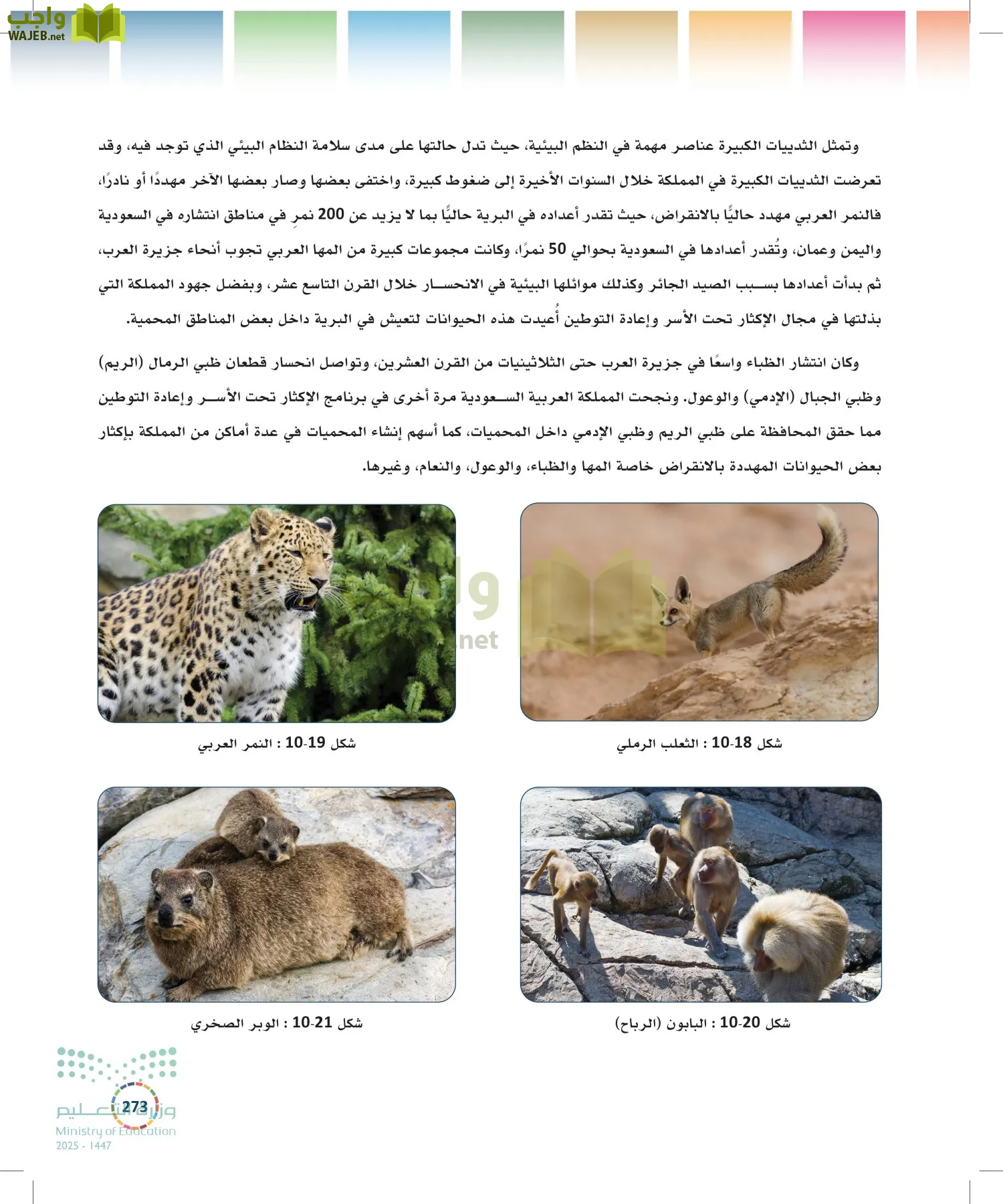 التنمية المستدامة-المجال الاختياري page-272