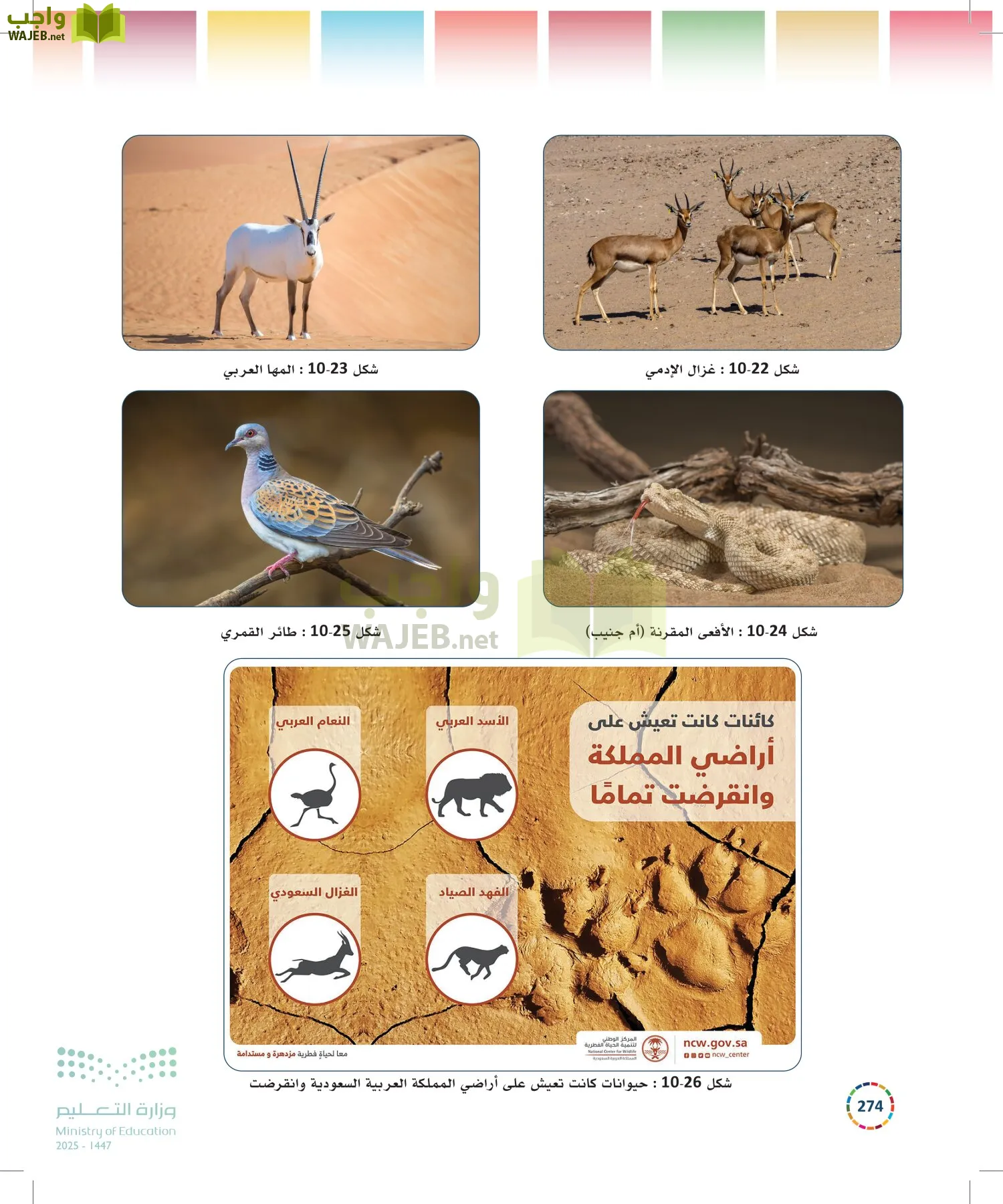 التنمية المستدامة-المجال الاختياري page-273